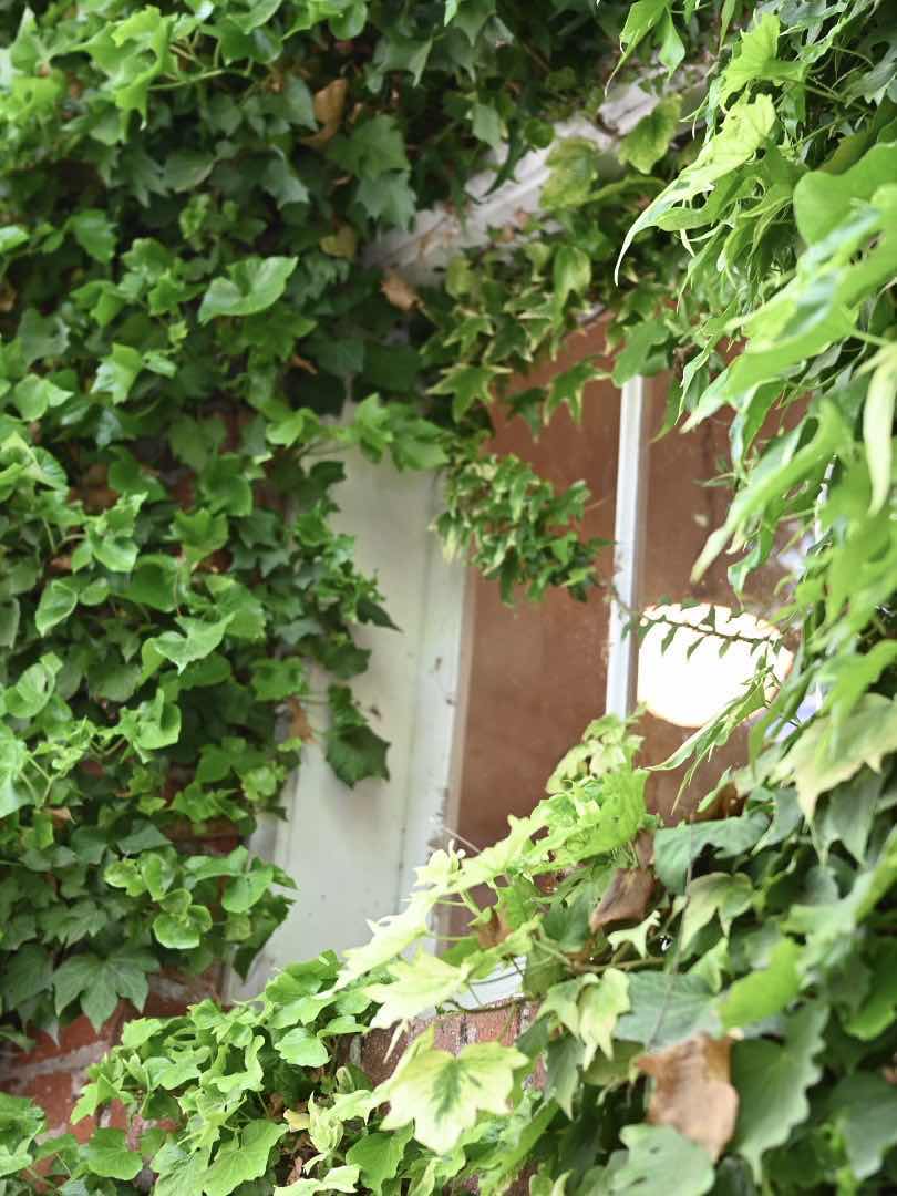 🌟 Unmissable things to do in Sonoma County 🌞