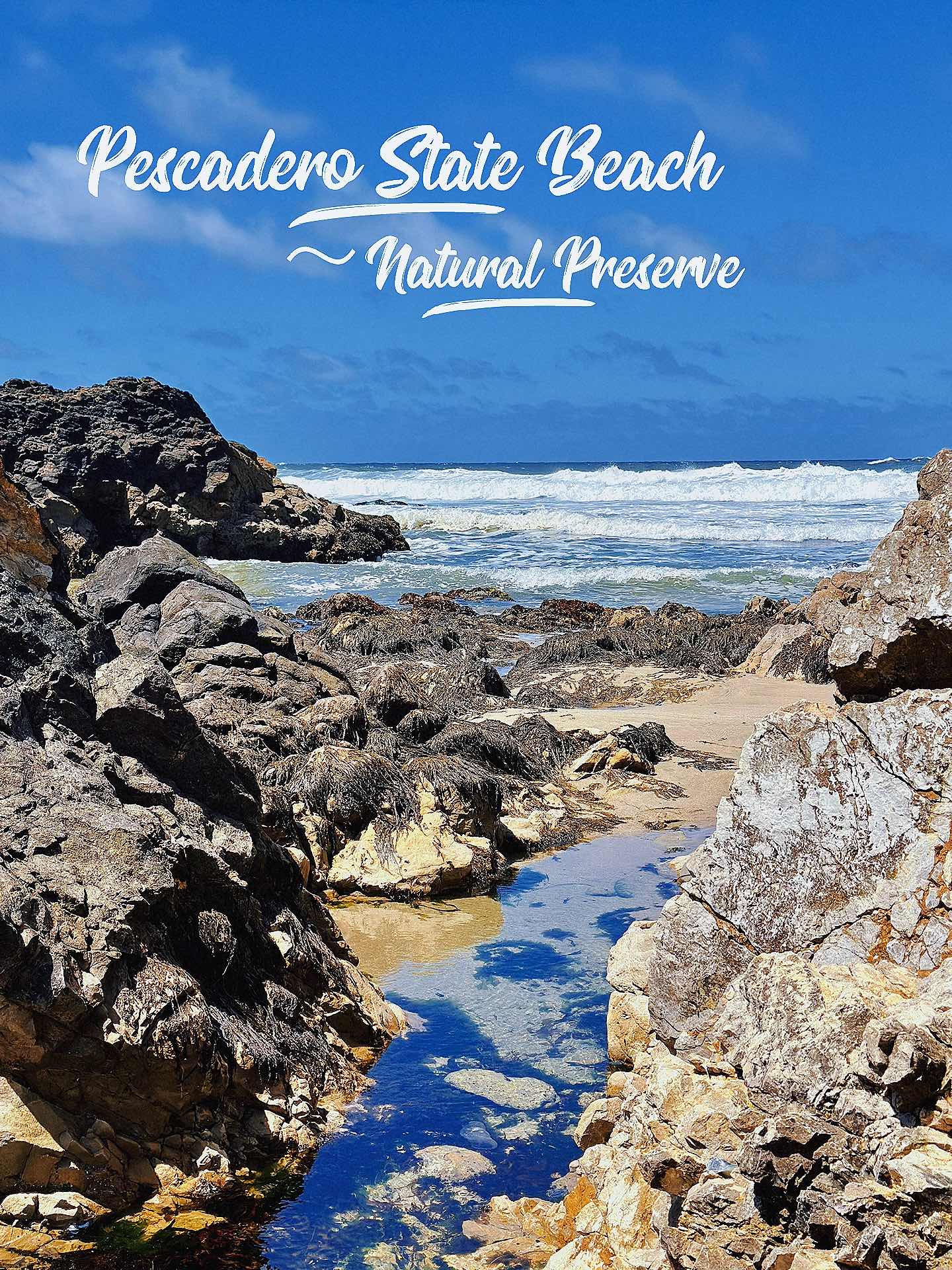 A Trip to Pescadero - Rocky Beaches, Pigeon Point Lighthouse, Goat Dairy Farm