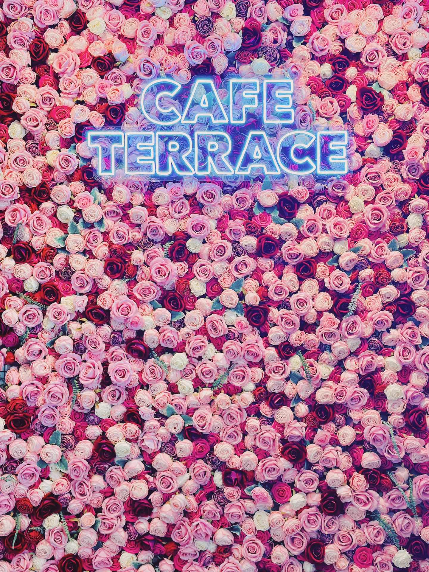 Cafe Terrace • A Mountain View Cafe with a Rustic Korean-style Brunch