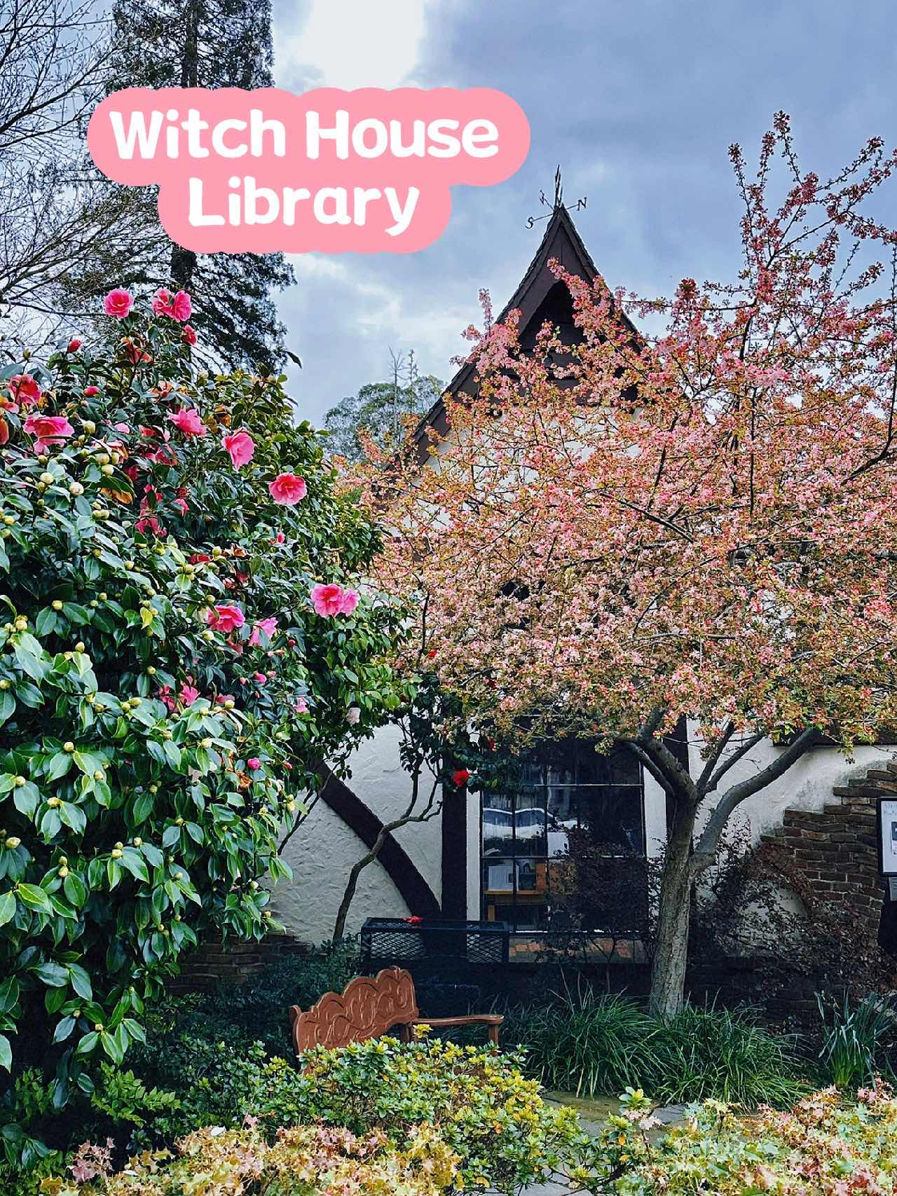Wizard's Hut Library *Montclair Library*🔮