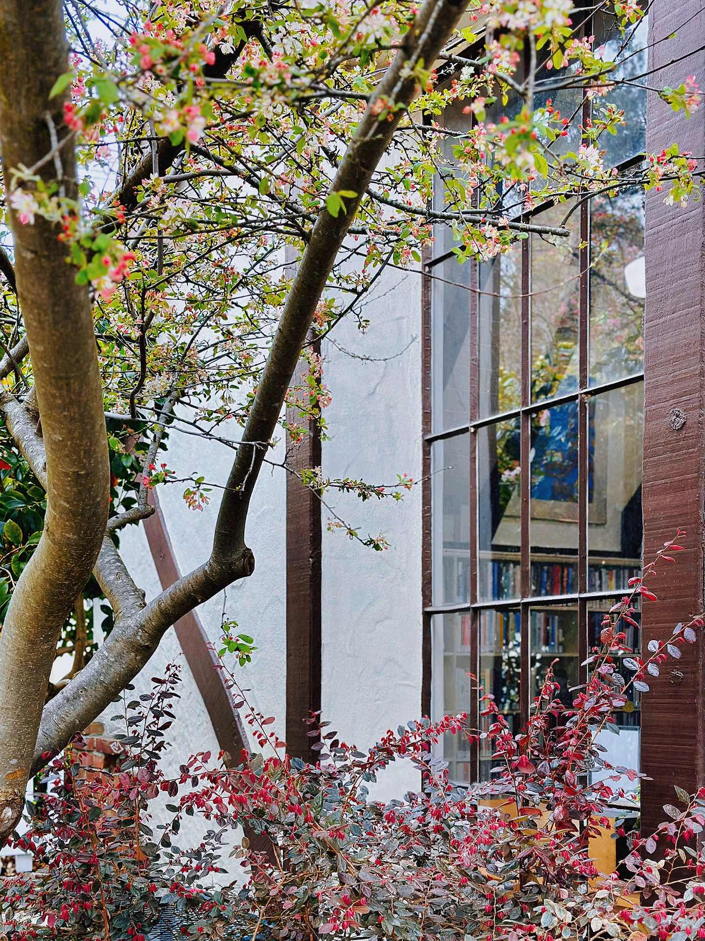 Wizard's Hut Library *Montclair Library*🔮
