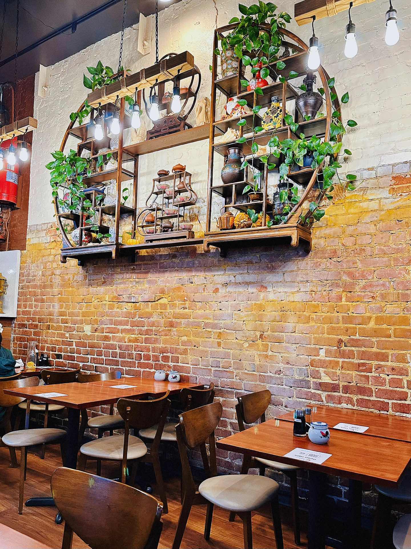Noodle Dynasty • Affordable Ox Bone Noodles in Berkeley