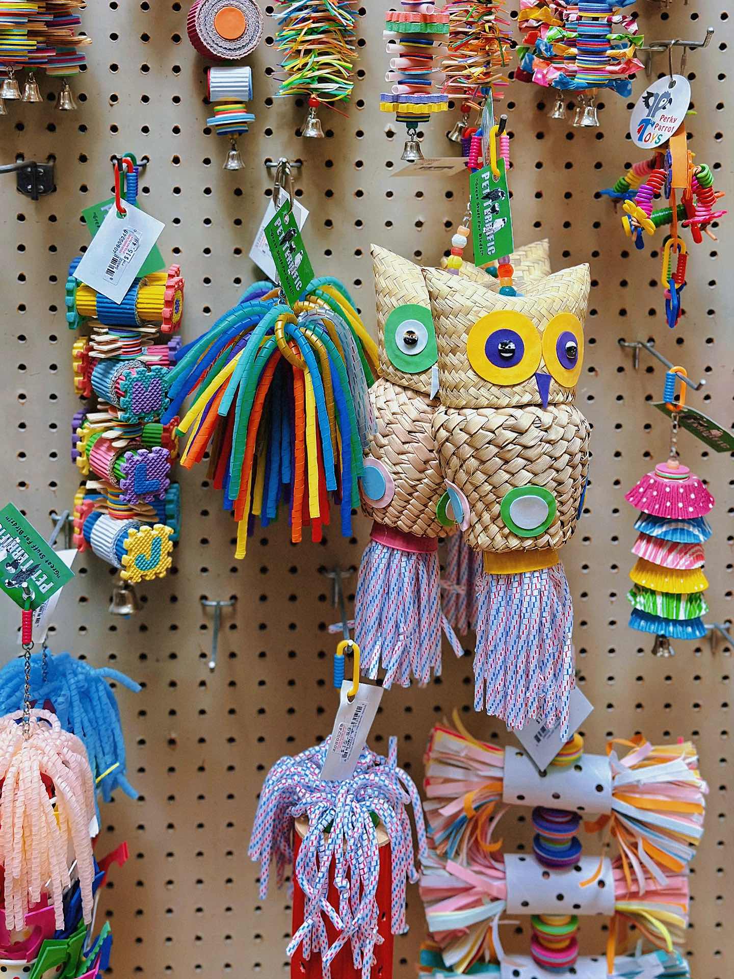 Weekend Outing with the Kids - The Basic Bird Parrot Shop on Berkeley University