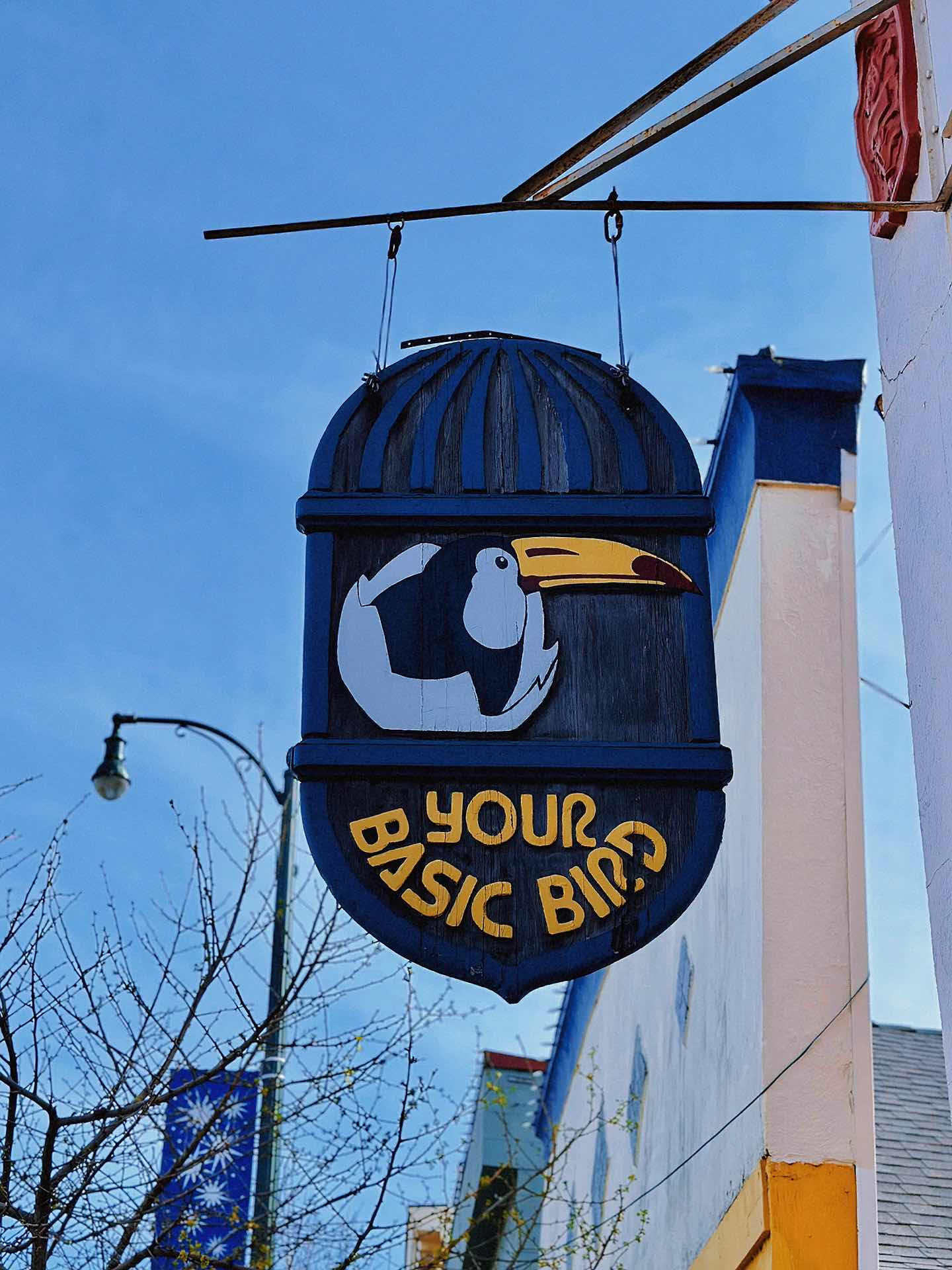 Weekend Outing with the Kids - The Basic Bird Parrot Shop on Berkeley University