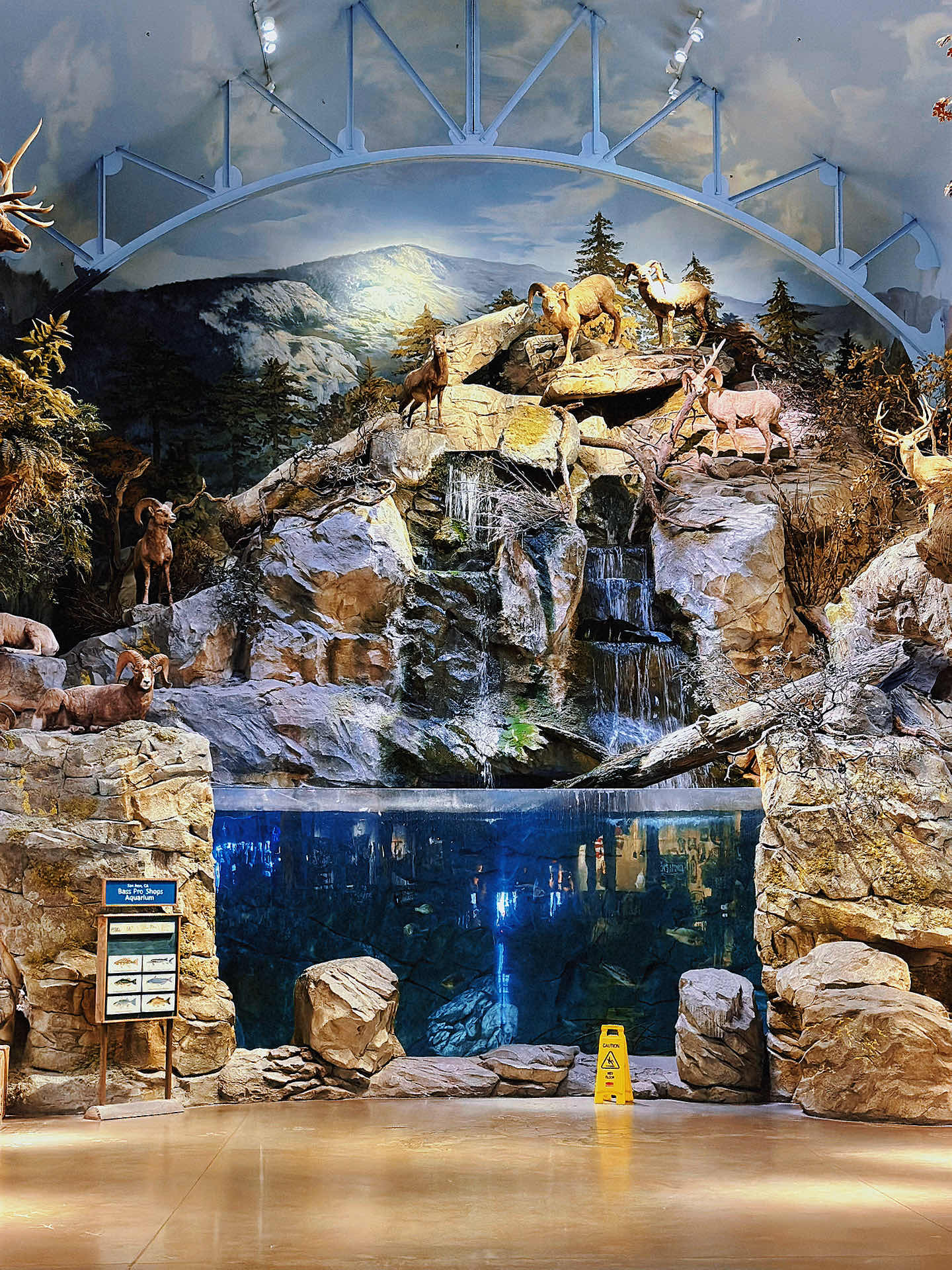 Bay Area Kid Outing - Experience the Call of the Wild at Bass Pro 🐺 14 Pics?