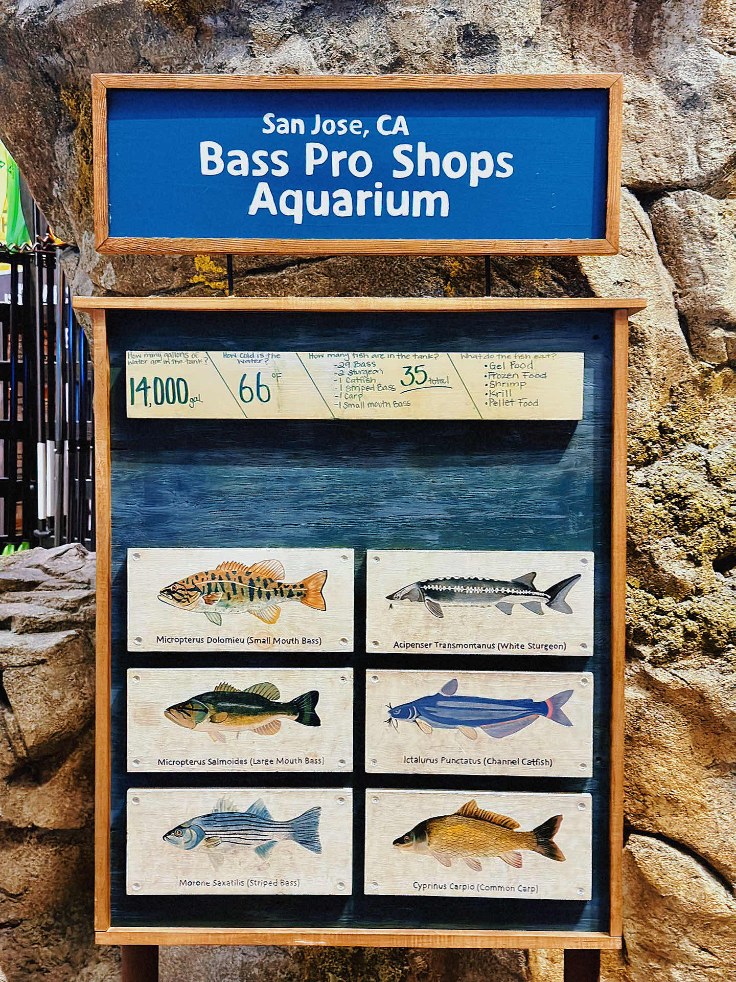 Bay Area Kid Outing - Experience the Call of the Wild at Bass Pro 🐺 14 Pics?
