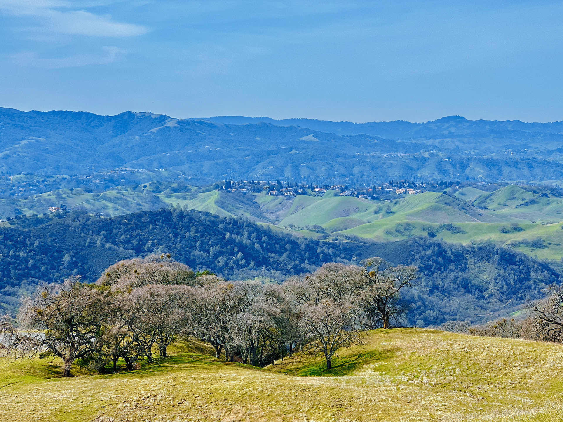 Walnut Creek Trip • Climbing Mount Diablo Beacon