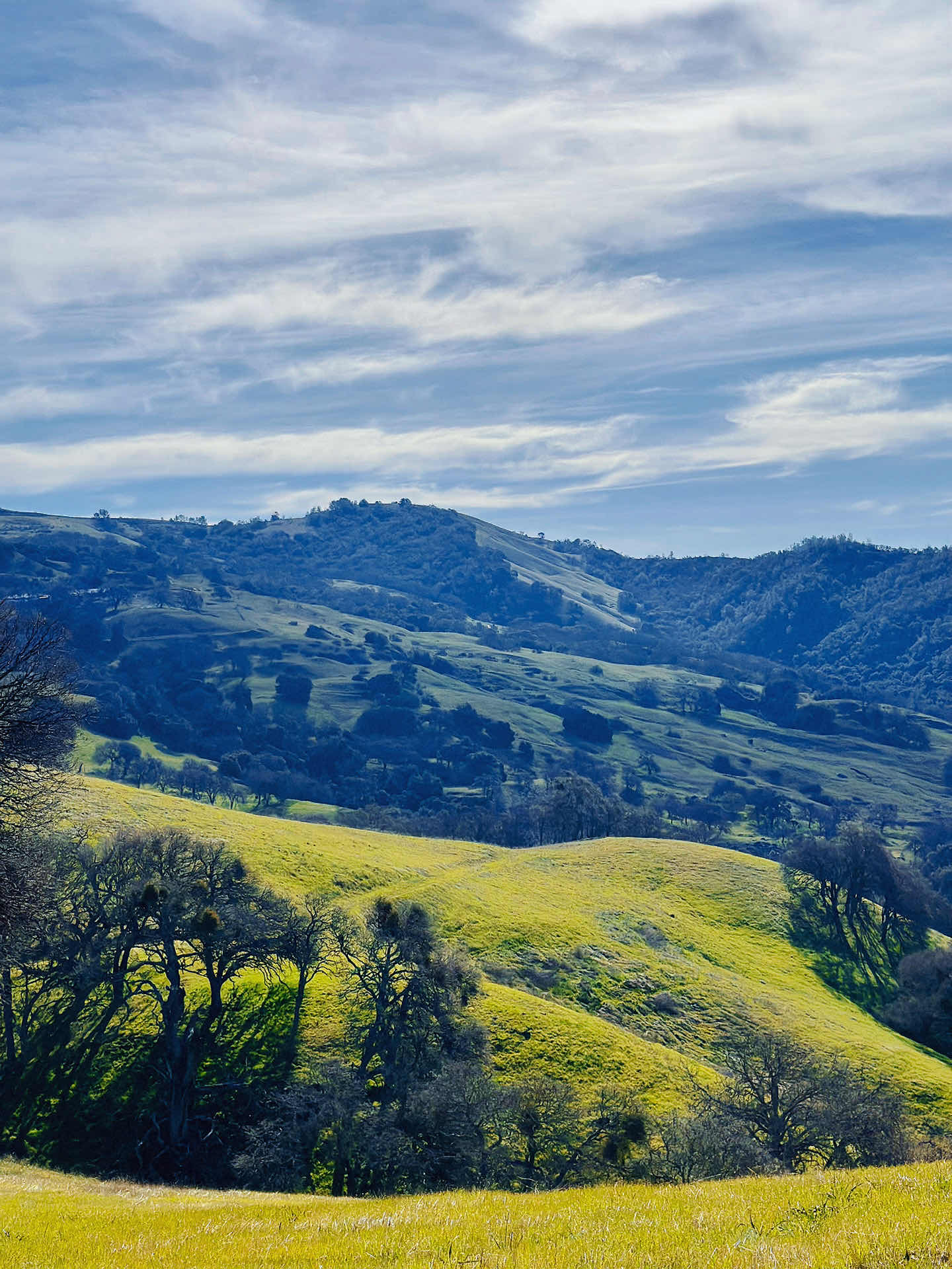 Walnut Creek Trip • Climbing Mount Diablo Beacon