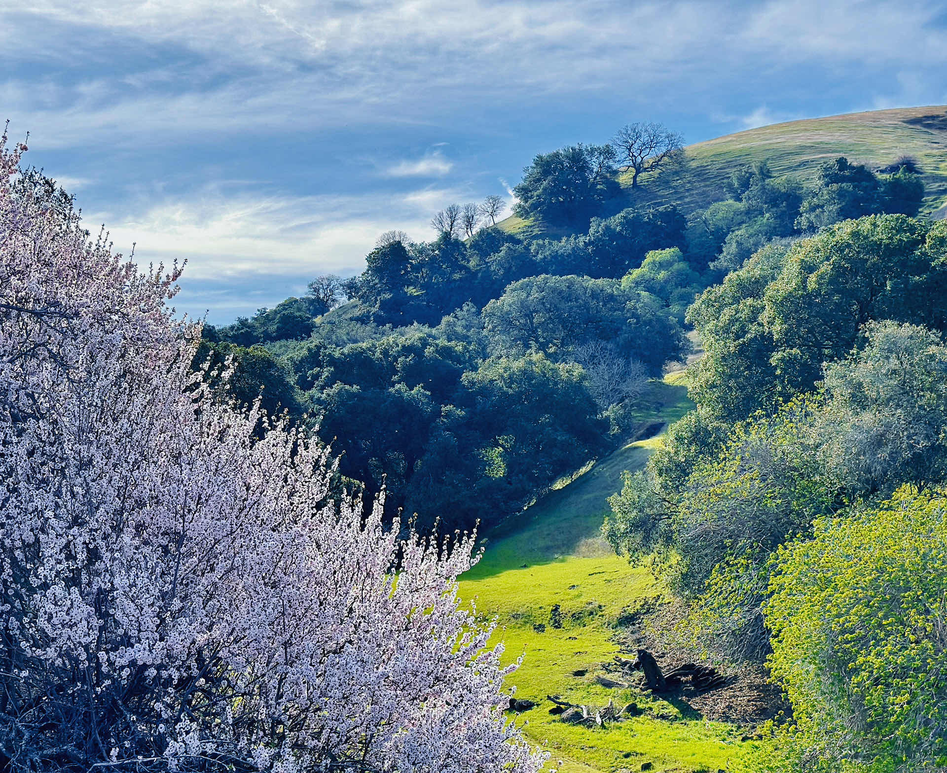 Walnut Creek Trip • Climbing Mount Diablo Beacon