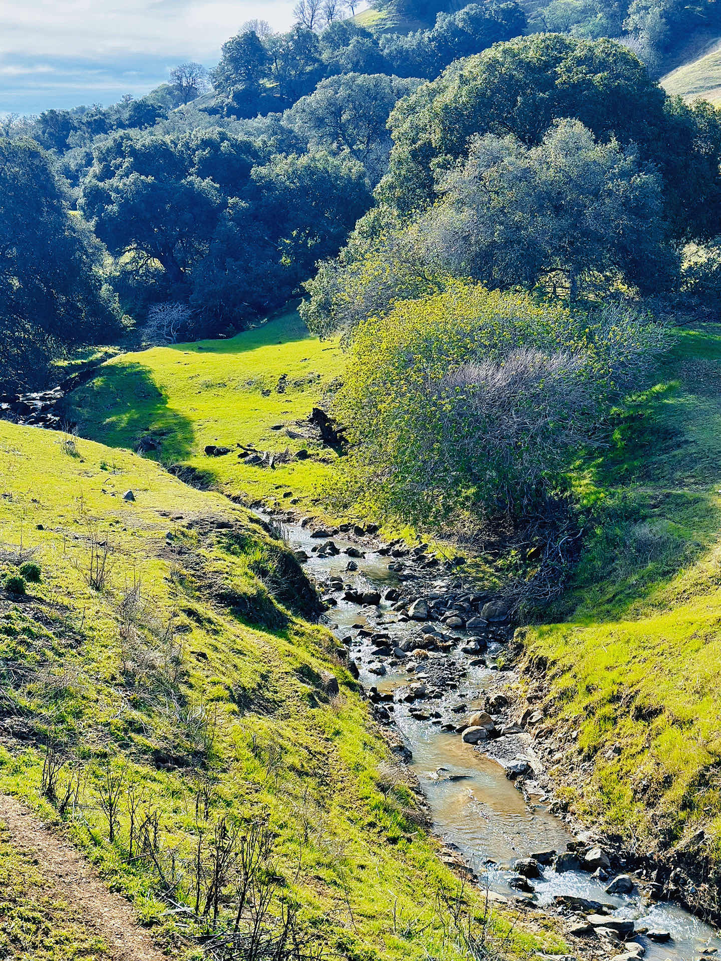 Walnut Creek Trip • Climbing Mount Diablo Beacon
