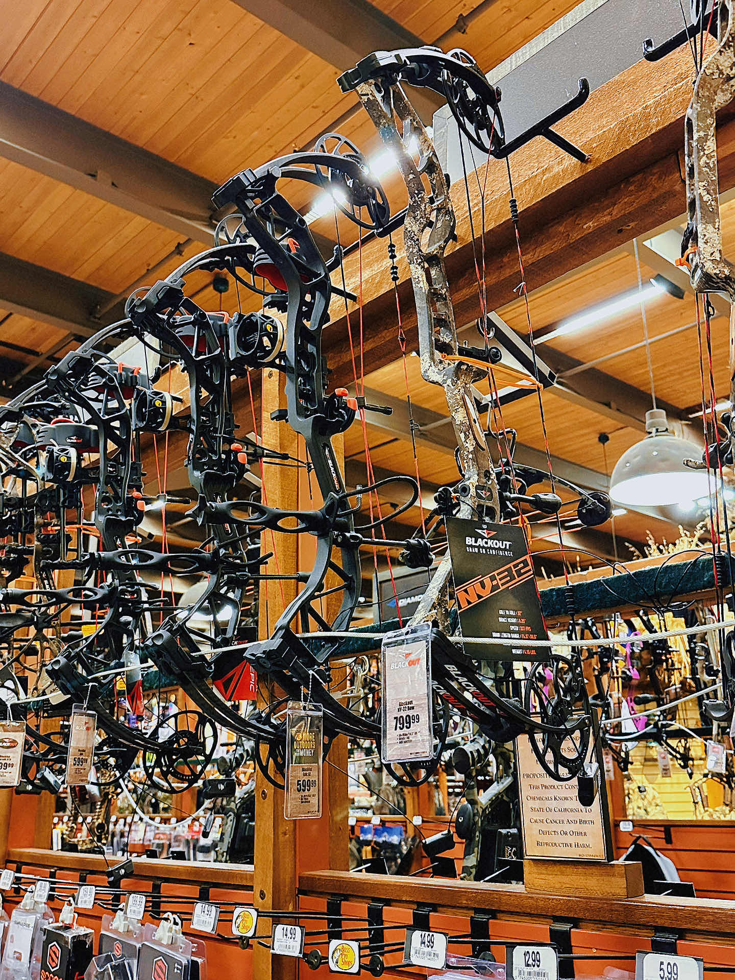 Bay Area Kid Outing - Experience the Call of the Wild at Bass Pro 🐺 14 Pics?