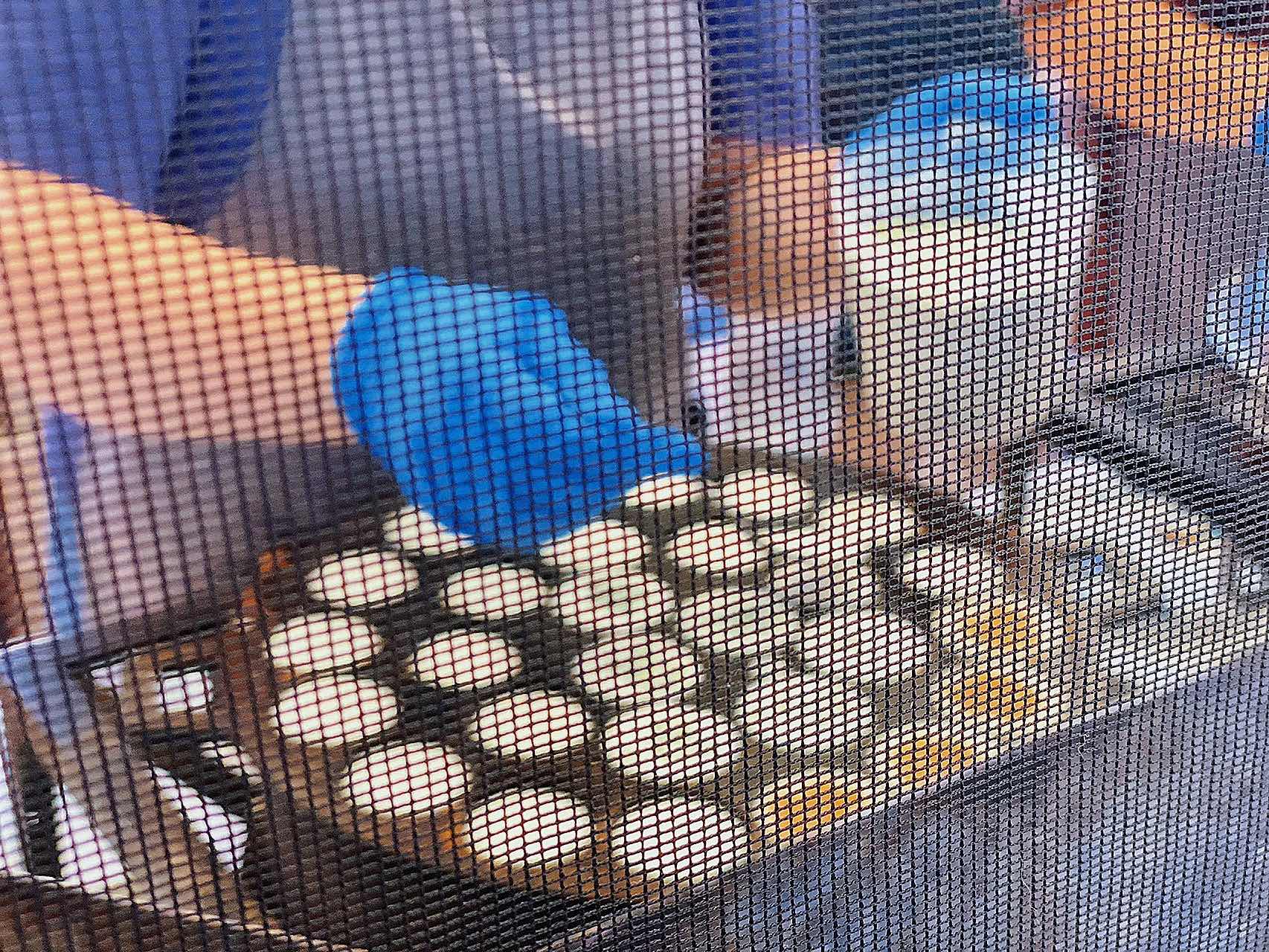 Wat Mongkolratanaram • Berkeley Thai Temple Brunch Market