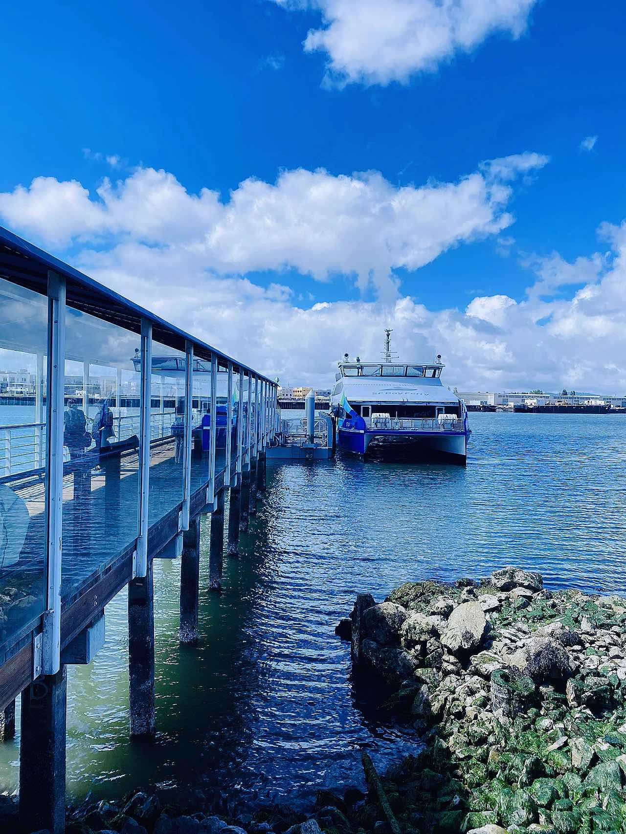 Bay Area Ferry Journey•Oakland🔜SFO🔜Sausalito