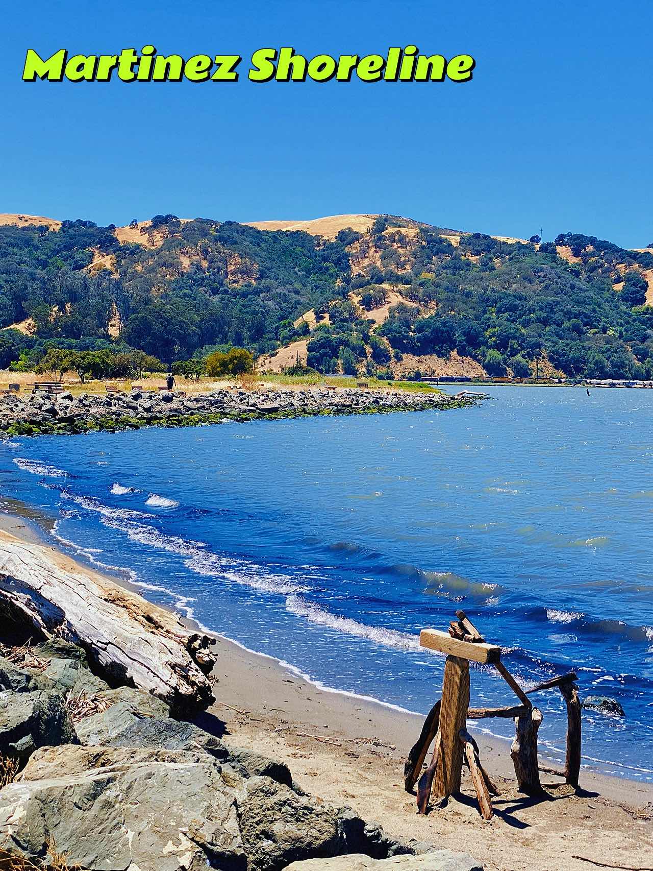 Martinez Travel Log: Shoreline Park🌊 and John Muir's Home🏛️