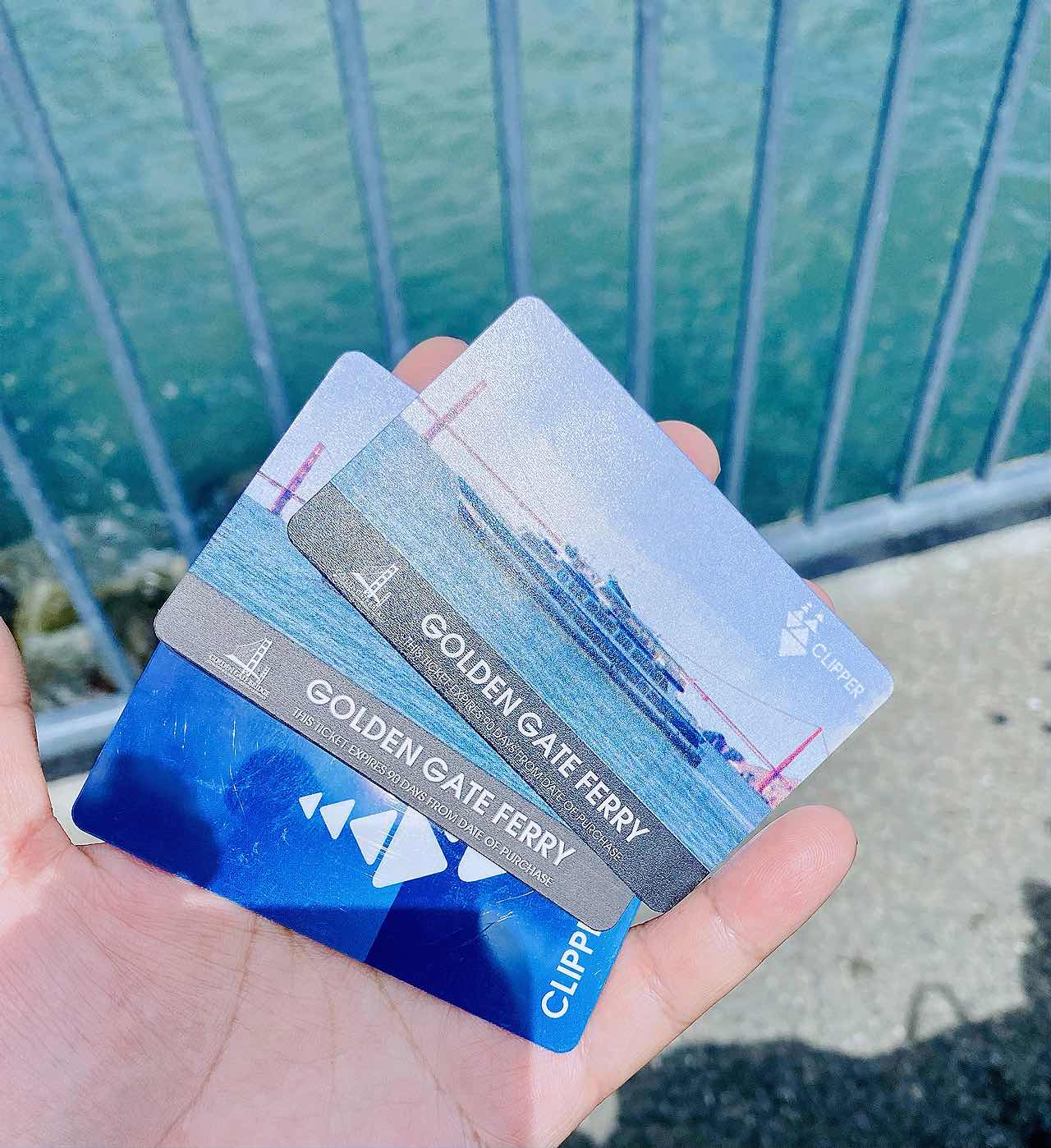 Bay Area Ferry Journey•Oakland🔜SFO🔜Sausalito