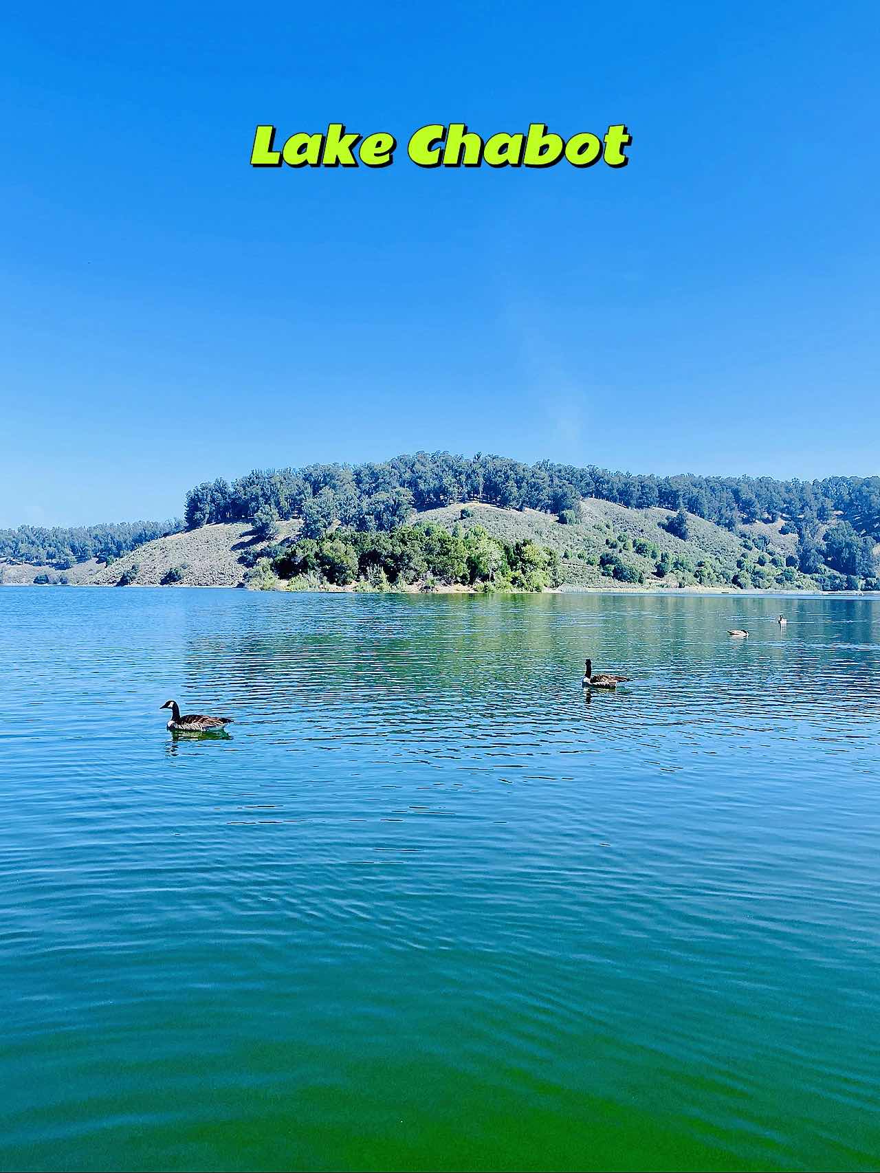 Beginner's Fishing Summary Post: Major Showdown at the Four Lakes of East Bay 🎣🌞