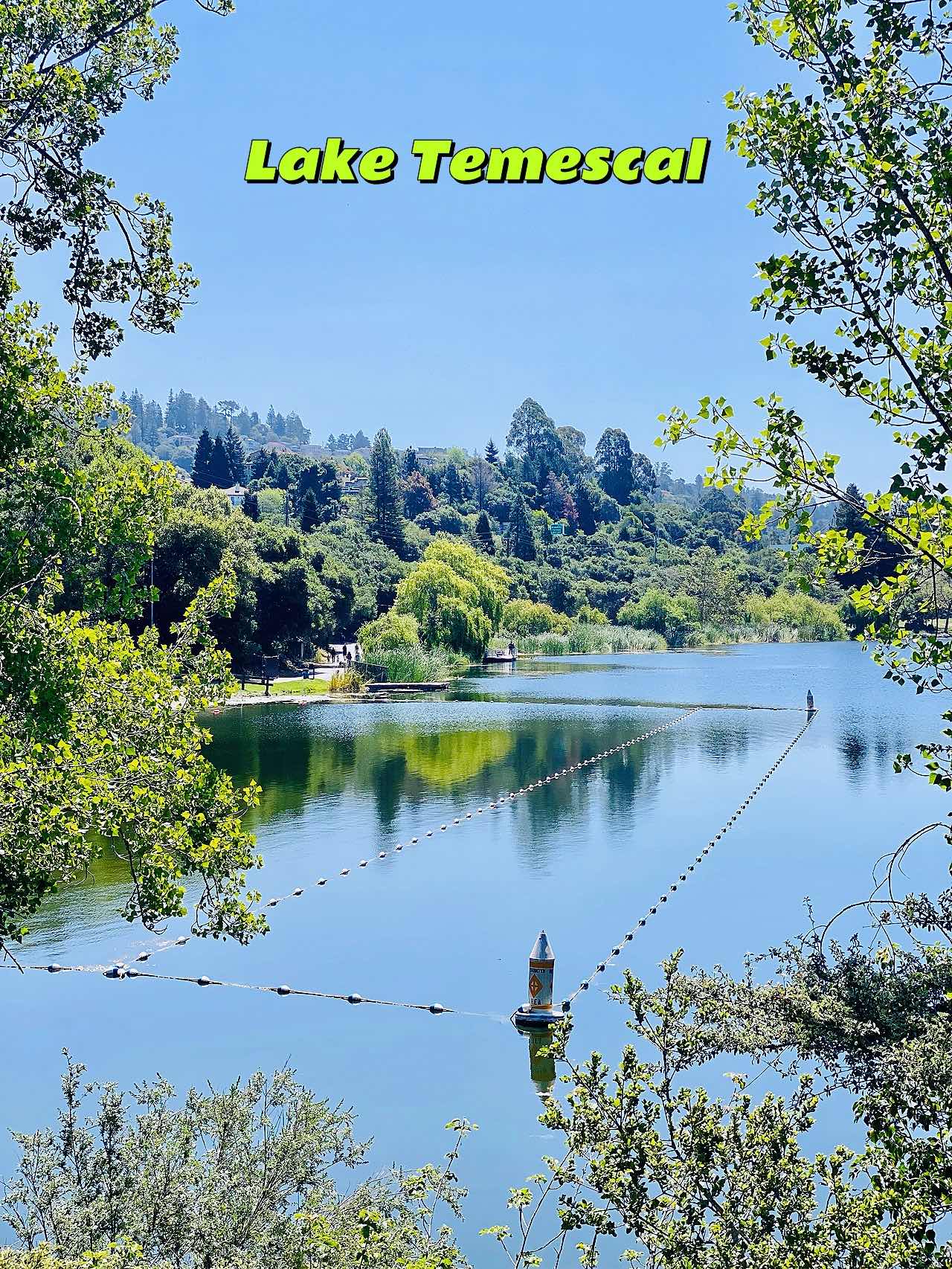 Beginner's Fishing Summary Post: Major Showdown at the Four Lakes of East Bay 🎣🌞