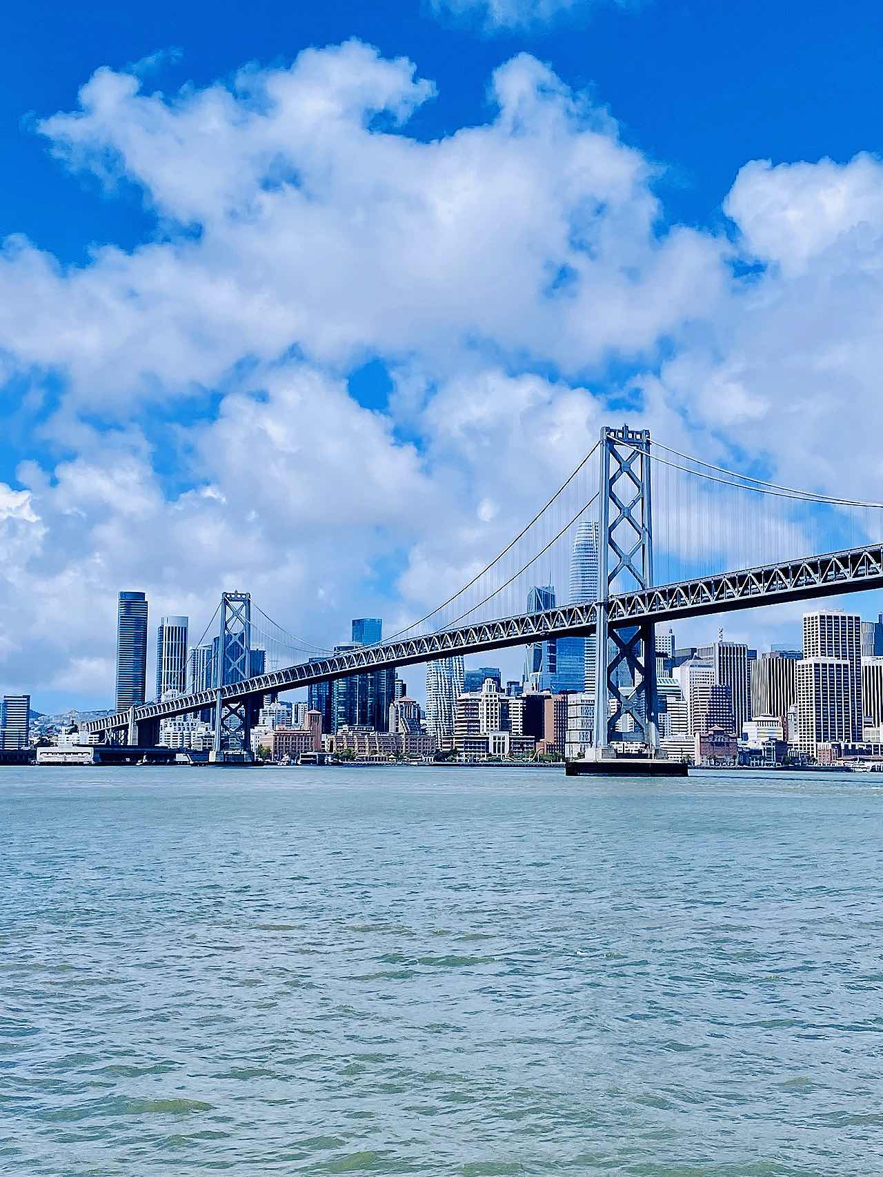 Bay Area Ferry Journey•Oakland🔜SFO🔜Sausalito