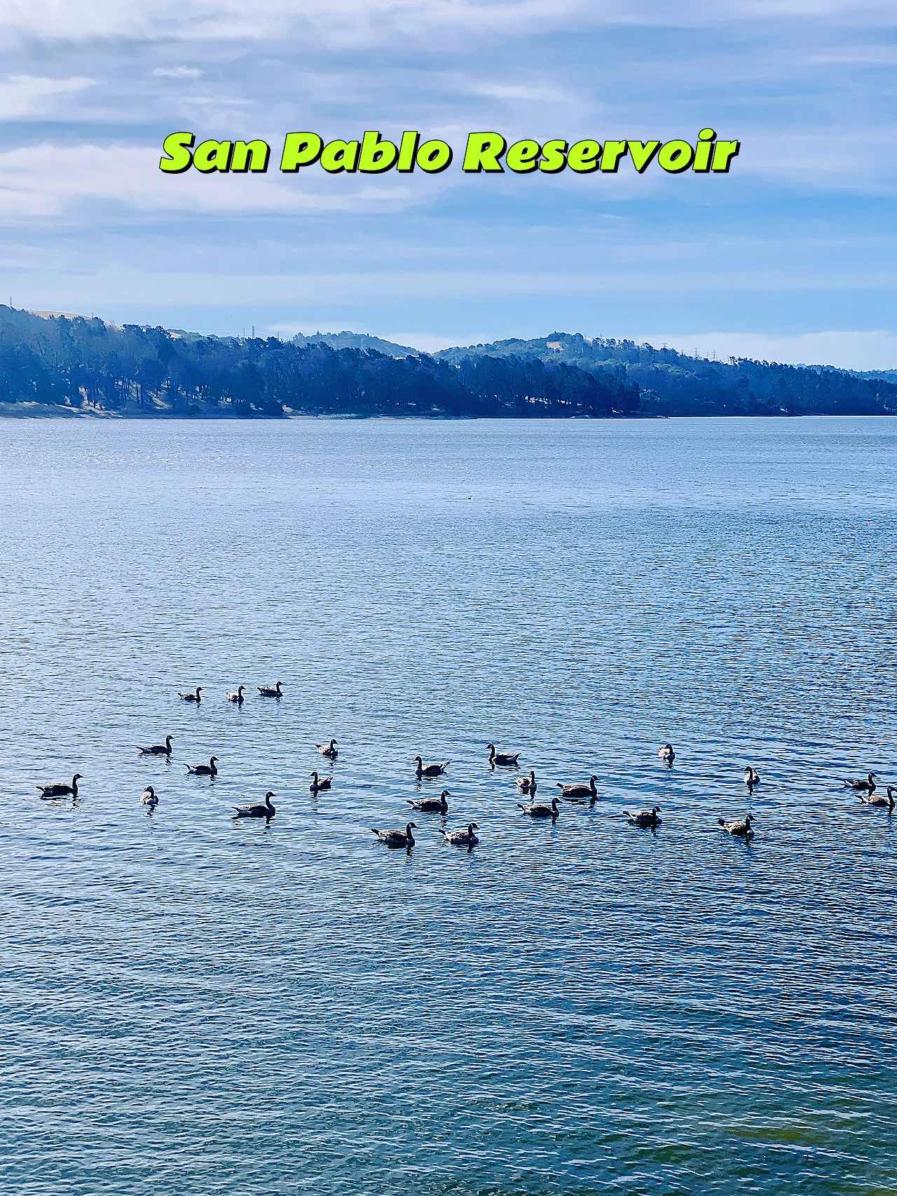 Beginner's Fishing Summary Post: Major Showdown at the Four Lakes of East Bay 🎣🌞