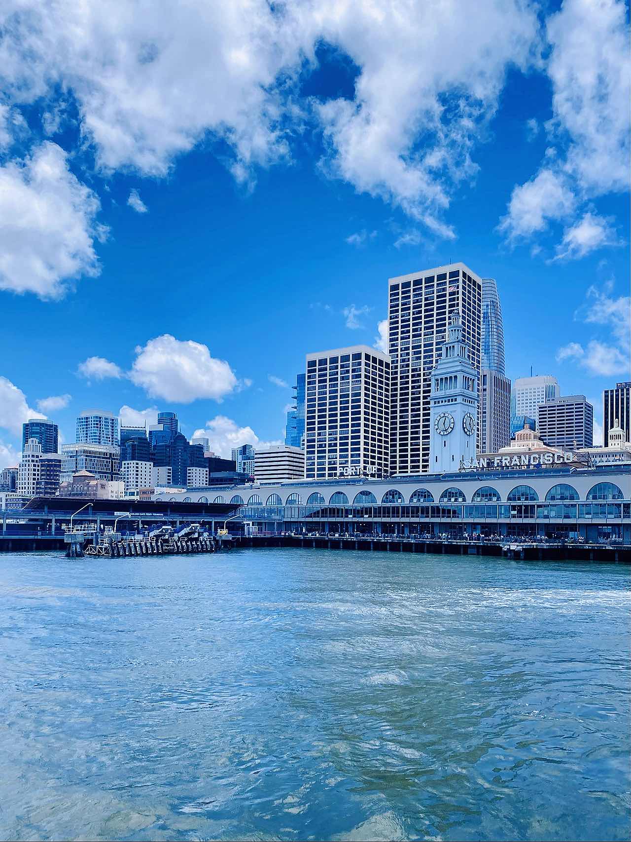 Bay Area Ferry Journey•Oakland🔜SFO🔜Sausalito