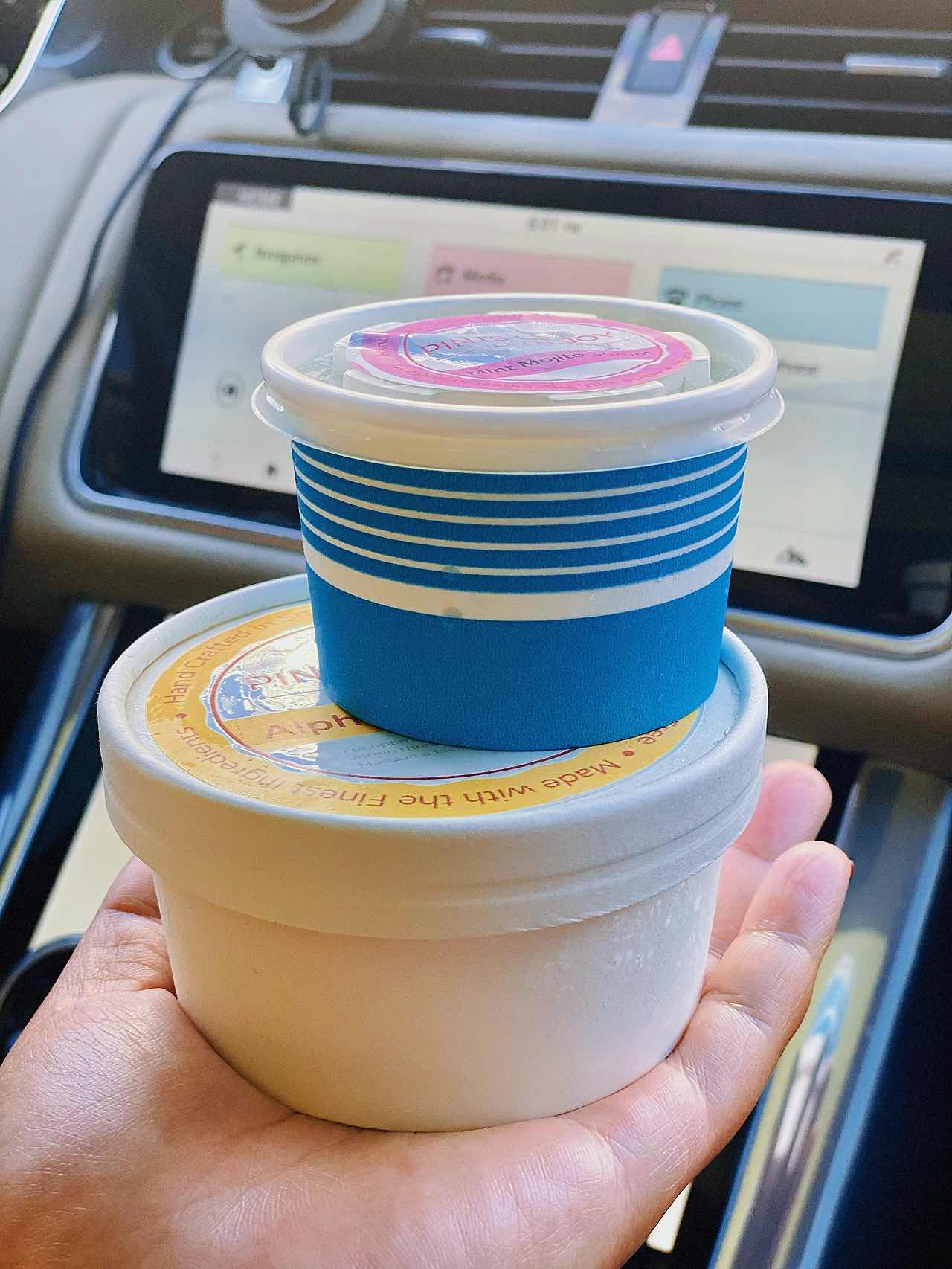 Pints Of Joy - Home of Handcrafted Southeast Asian Style Ice Cream