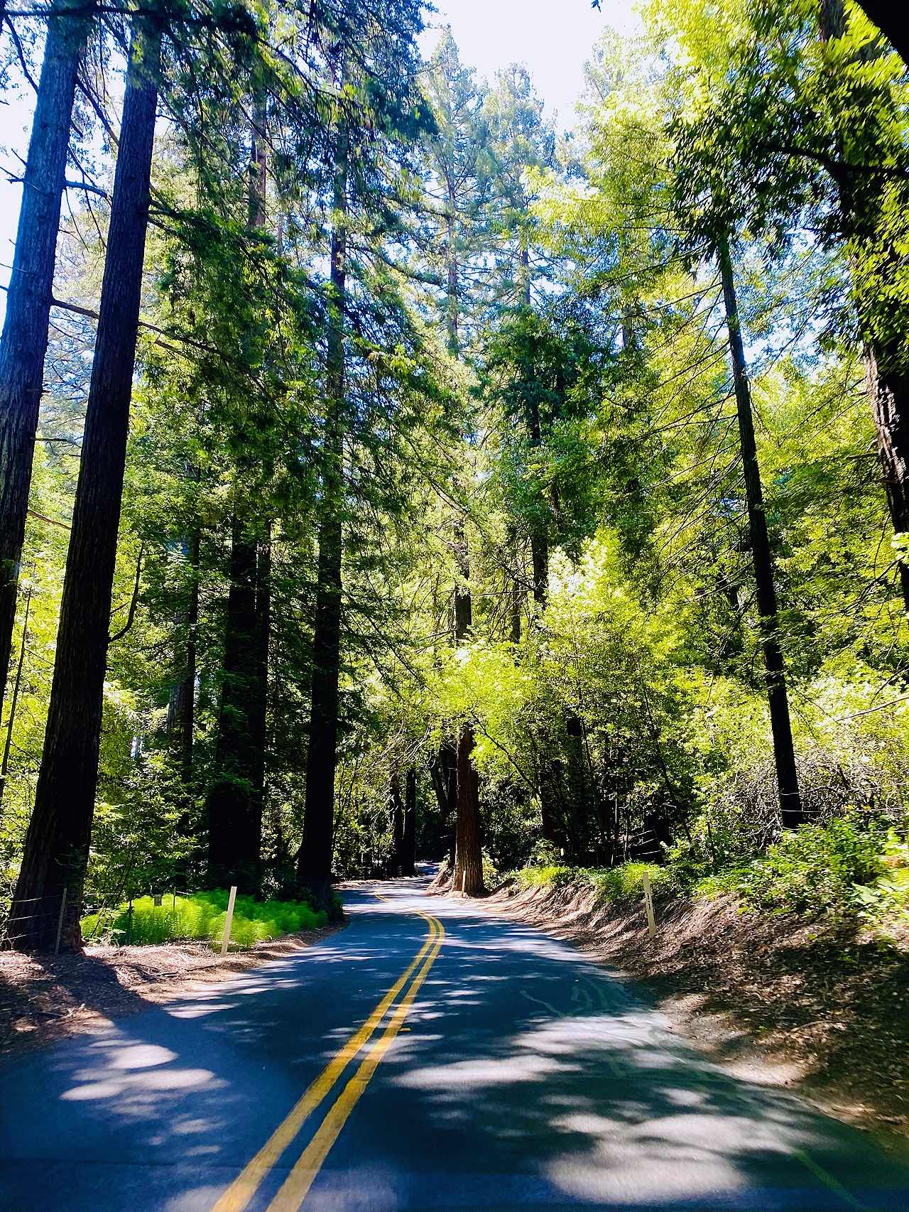 East Bay Wild Route: Mountain Runnin' 🏎, Biking 🚴🏻‍♀️ & Camping 🏕️