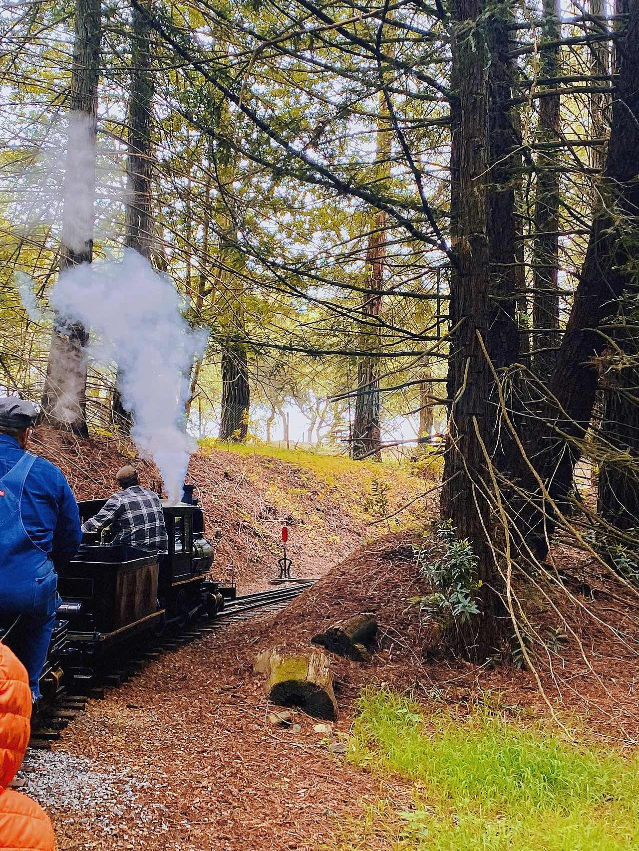 Orinda Travel Log • Steam Train🚂 Library📚 and Beautiful Theatre🎥