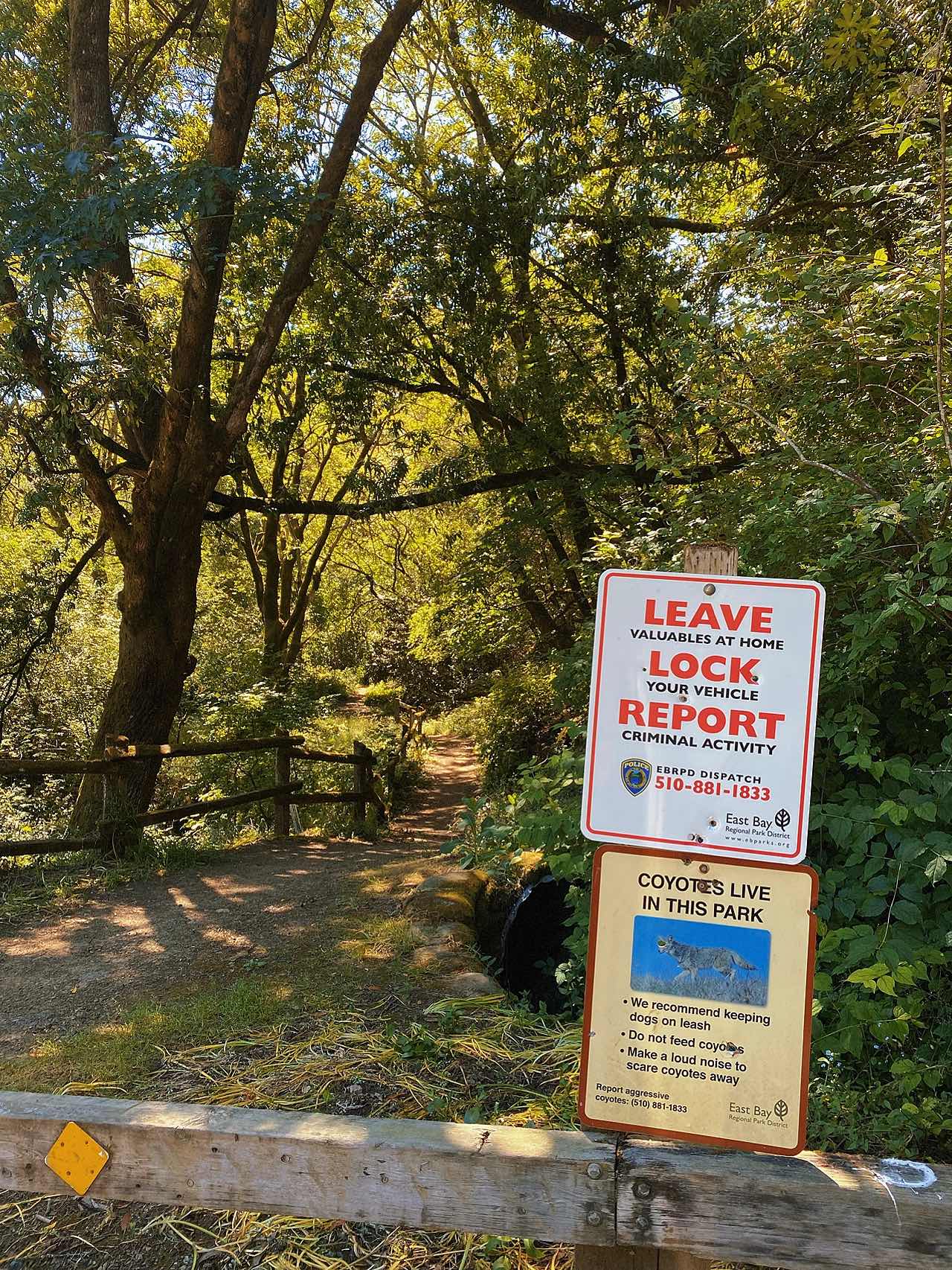 East Bay Wild Route: Mountain Runnin' 🏎, Biking 🚴🏻‍♀️ & Camping 🏕️