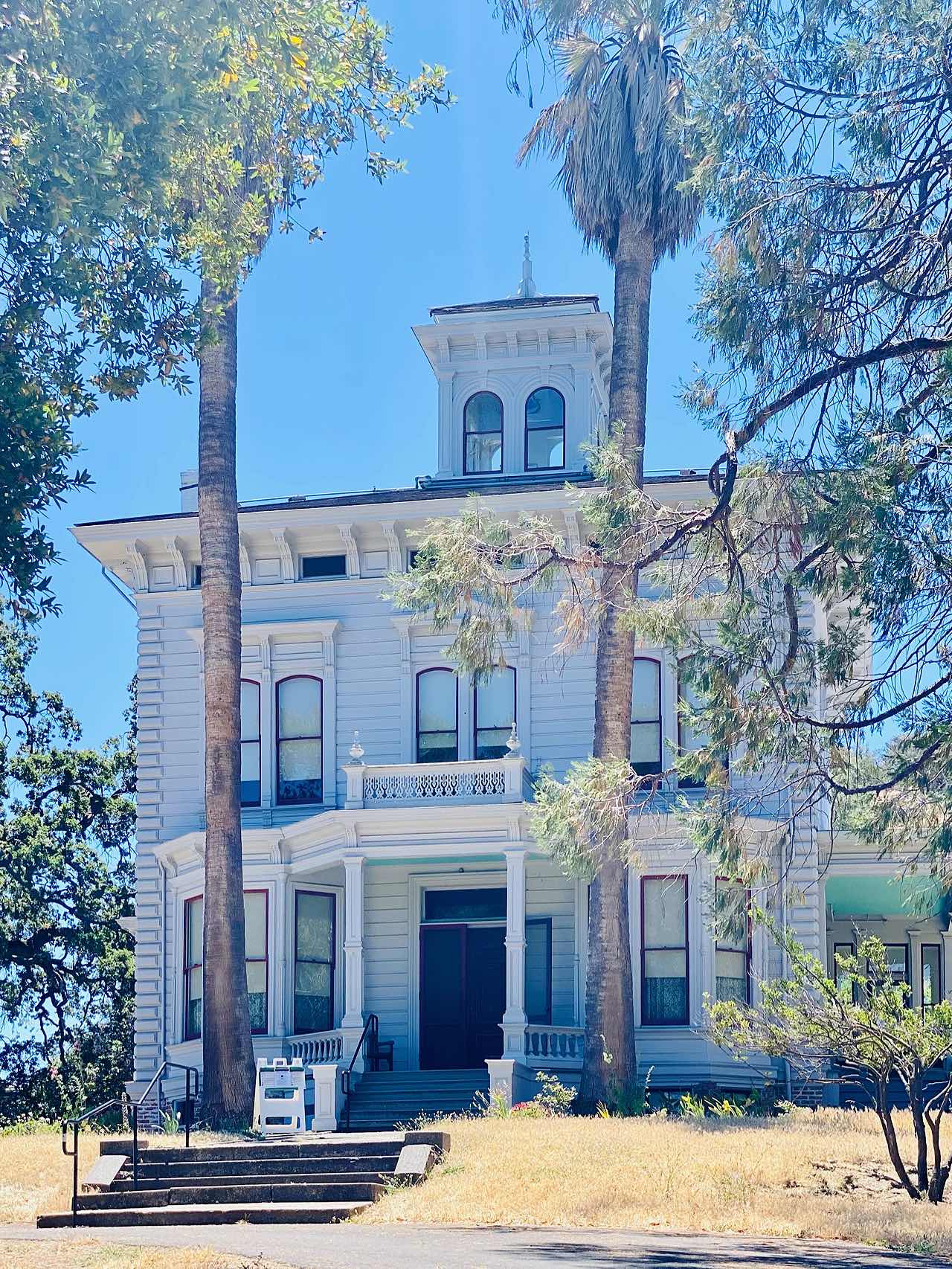 Martinez Travel Log: Shoreline Park🌊 and John Muir's Home🏛️
