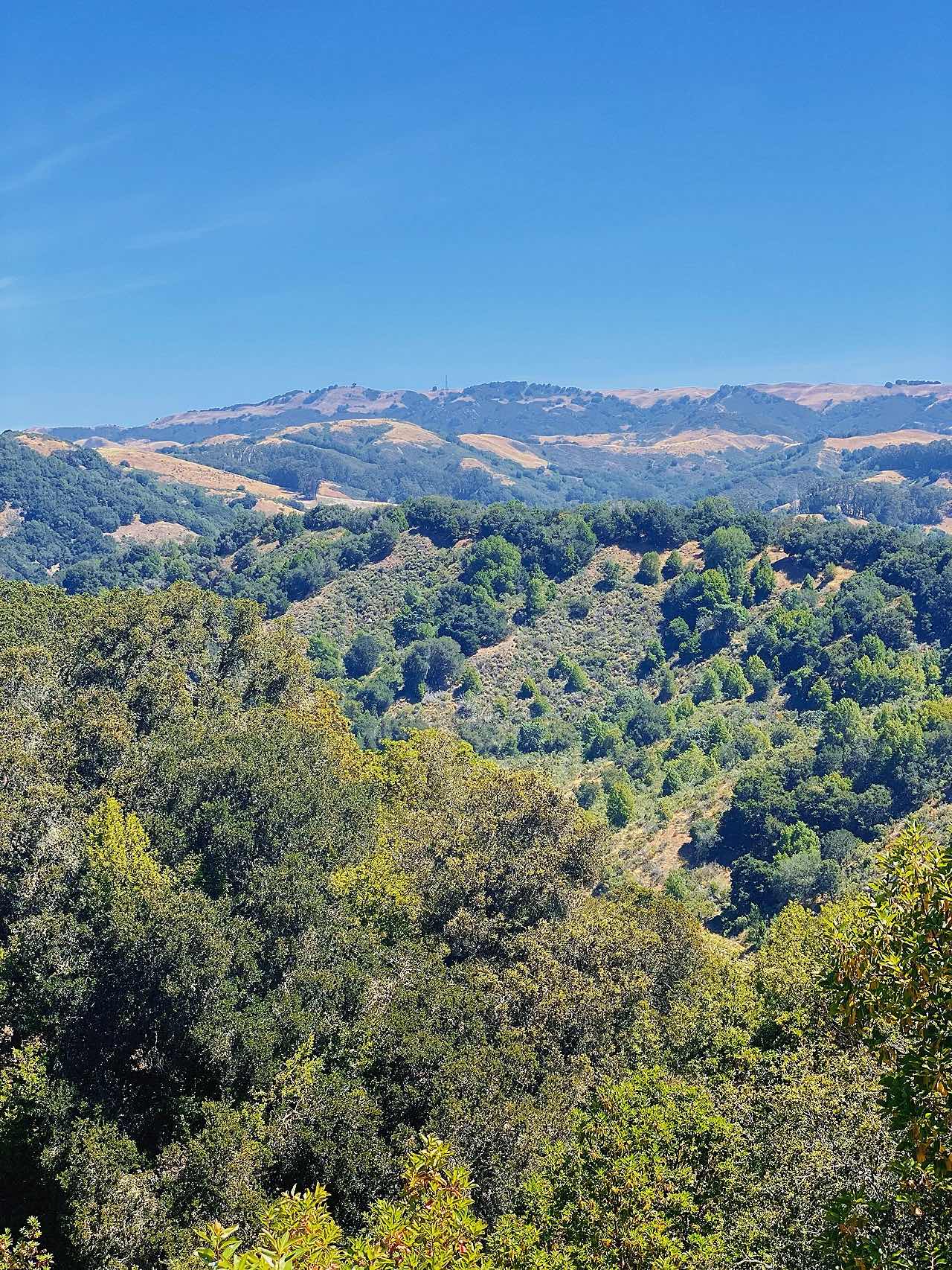 East Bay Wild Route: Mountain Runnin' 🏎, Biking 🚴🏻‍♀️ & Camping 🏕️