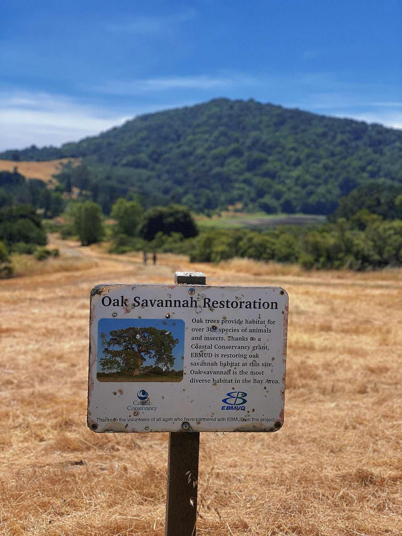 East Bay Wild Route: Mountain Runnin' 🏎, Biking 🚴🏻‍♀️ & Camping 🏕️
