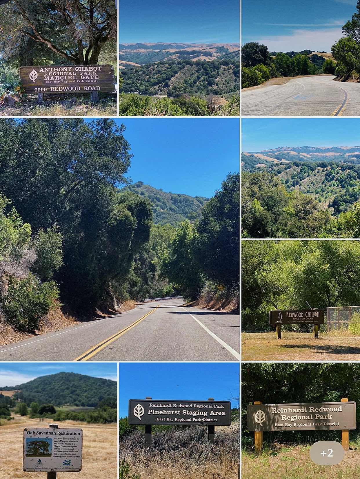 East Bay Wild Route: Mountain Runnin' 🏎, Biking 🚴🏻‍♀️ & Camping 🏕️