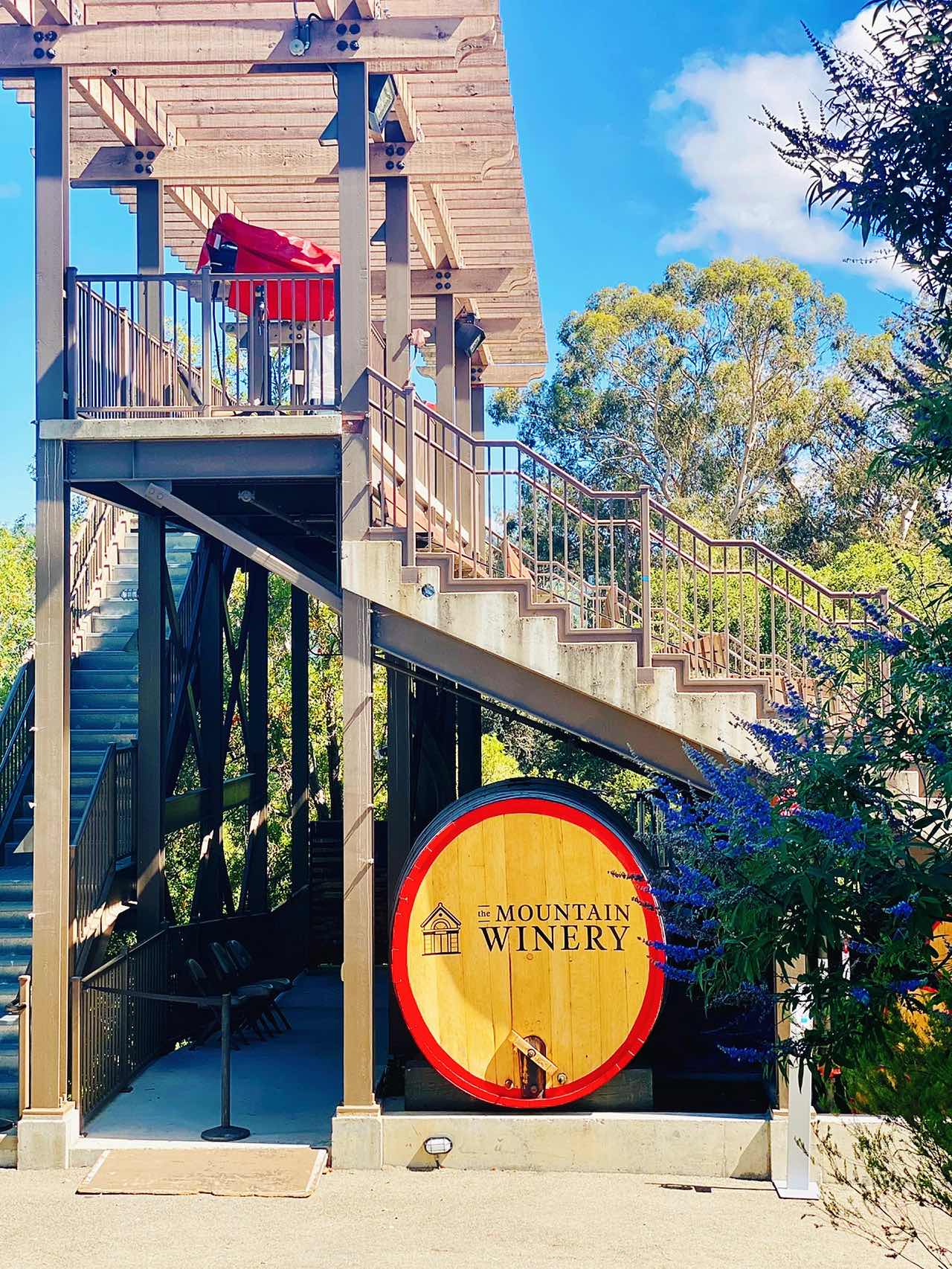 Saratoga Travel Log: Mountain Winery Adventure🍇