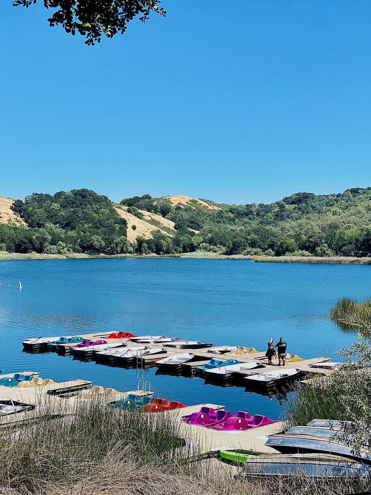 Lafayette Reservoir Travelogue - The Best Fishing Spot in The Bay Area