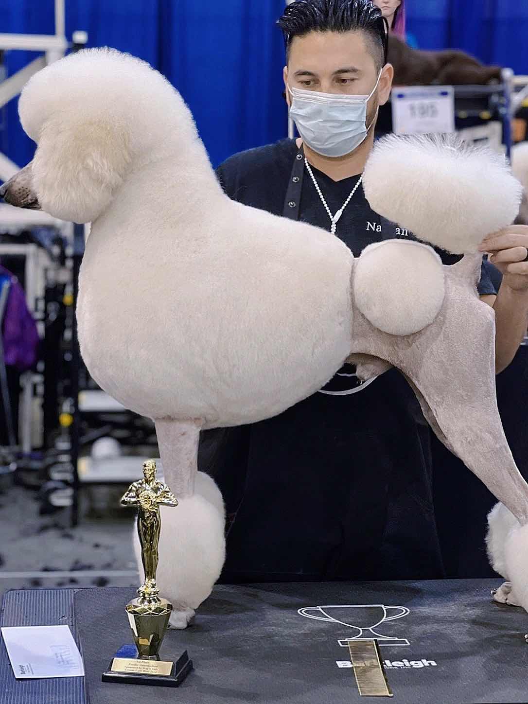 Dog Grooming in East Bay ❤️