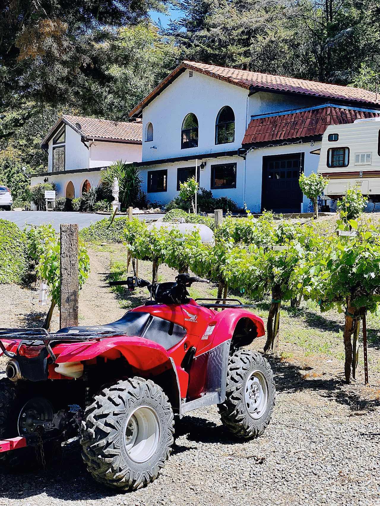 Having a Blast in Castro Valley - Boating⛵, Bowling🎳, and Wineries🍷