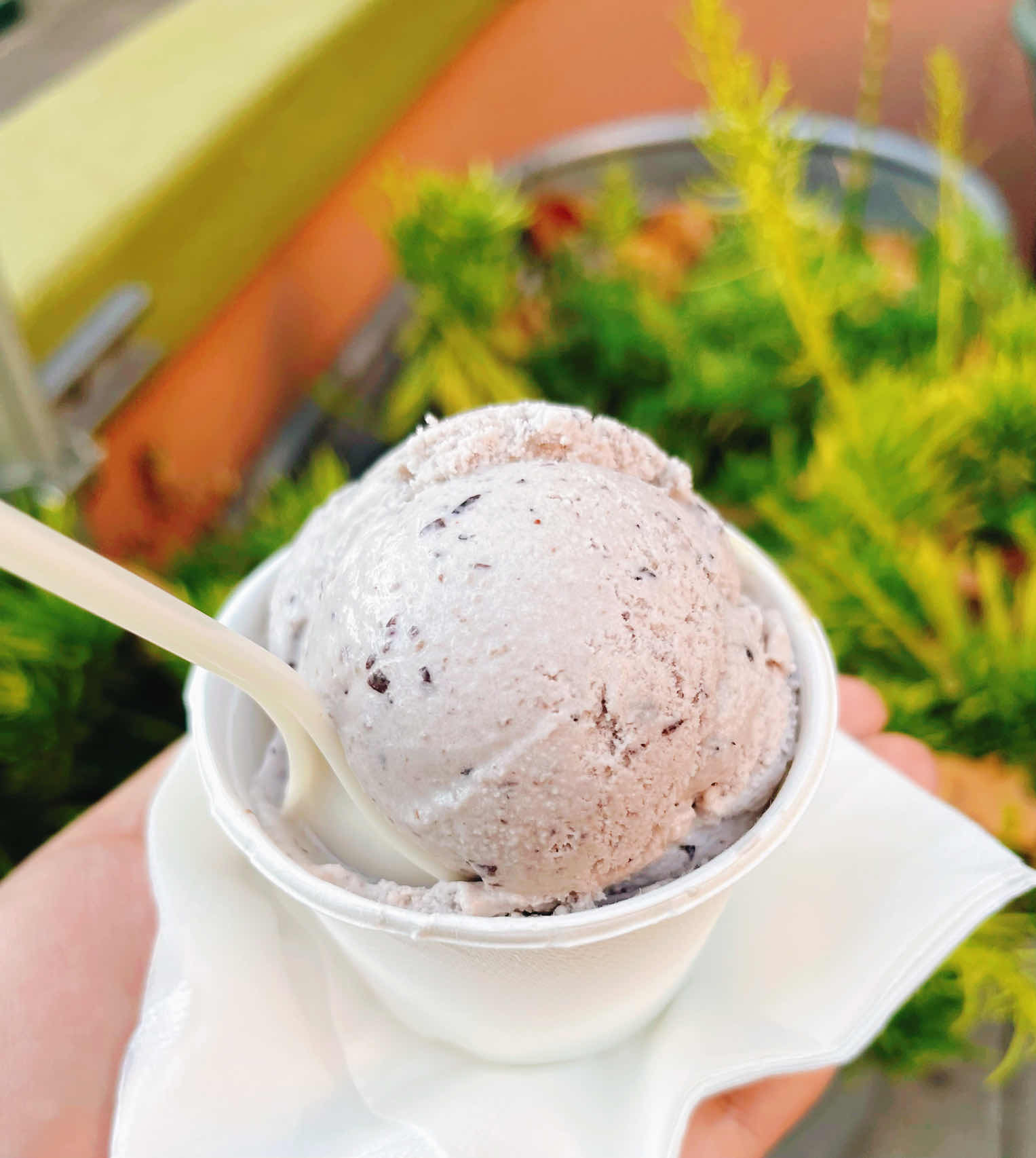 "Berkeley Fourth Street" - Peace amidst the hustle & Food