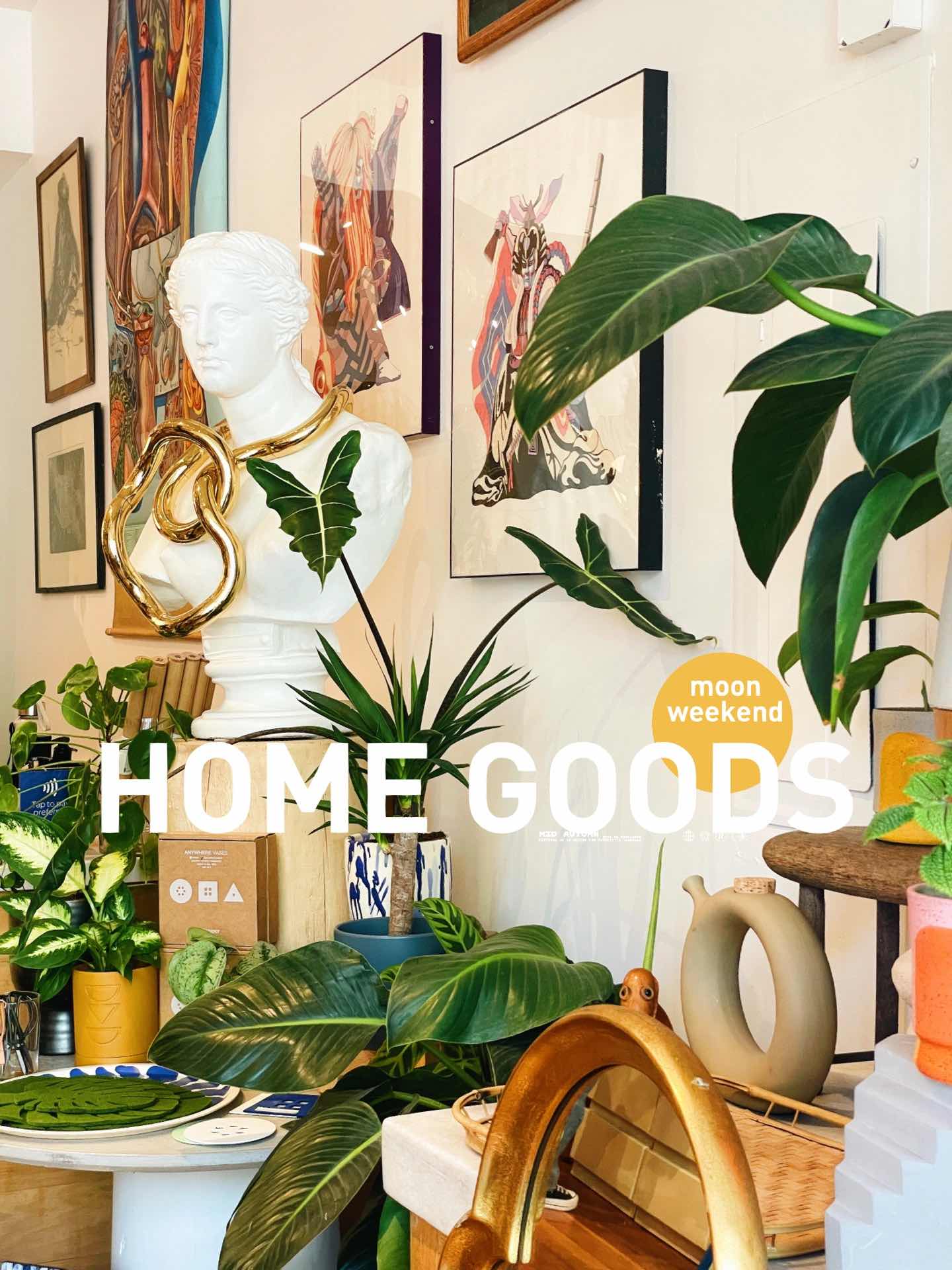 San Francisco | Check out interesting home decor stores on Valencia St!
