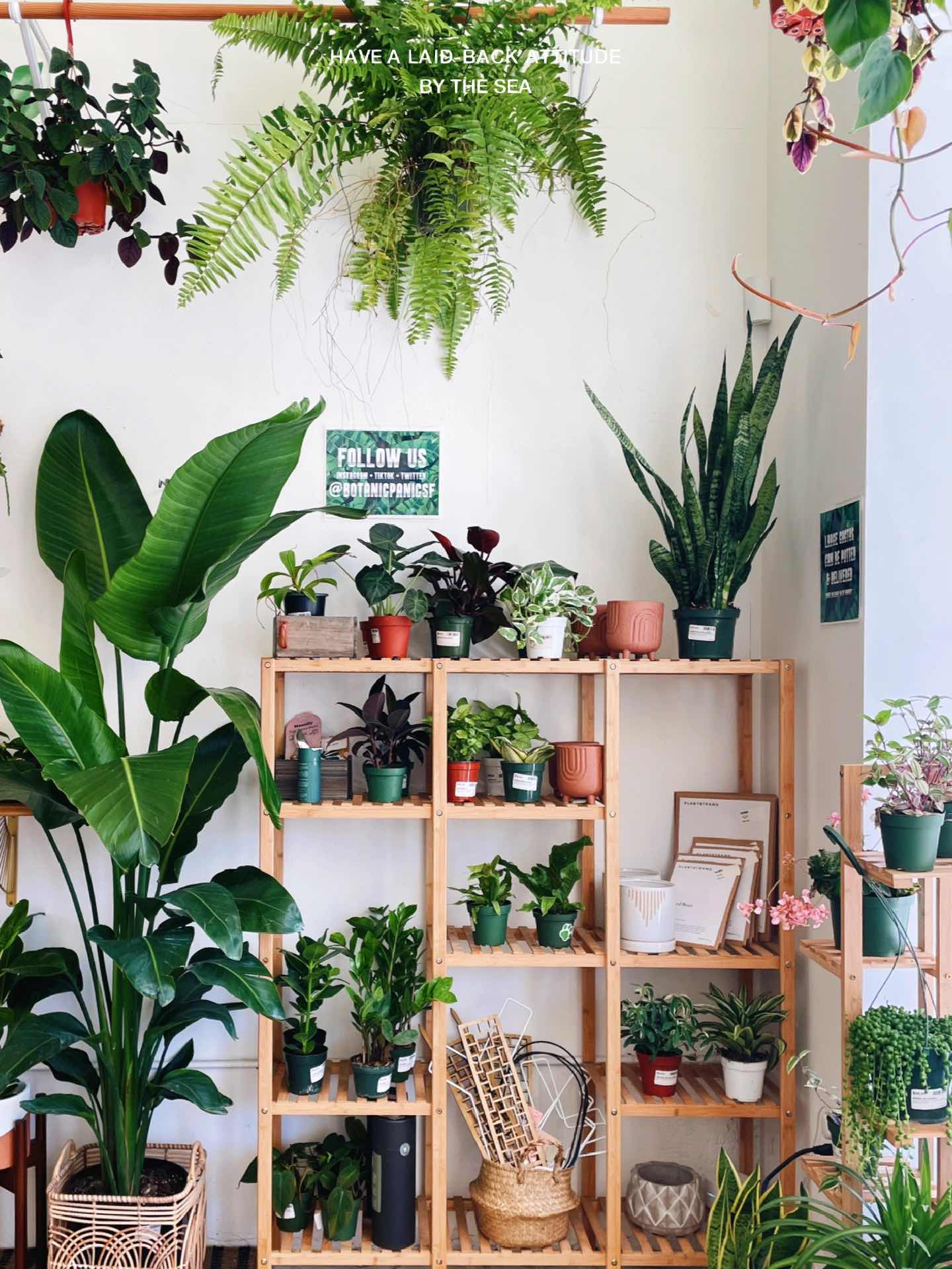 San Francisco | A Local Creative Community Full of Surprises
