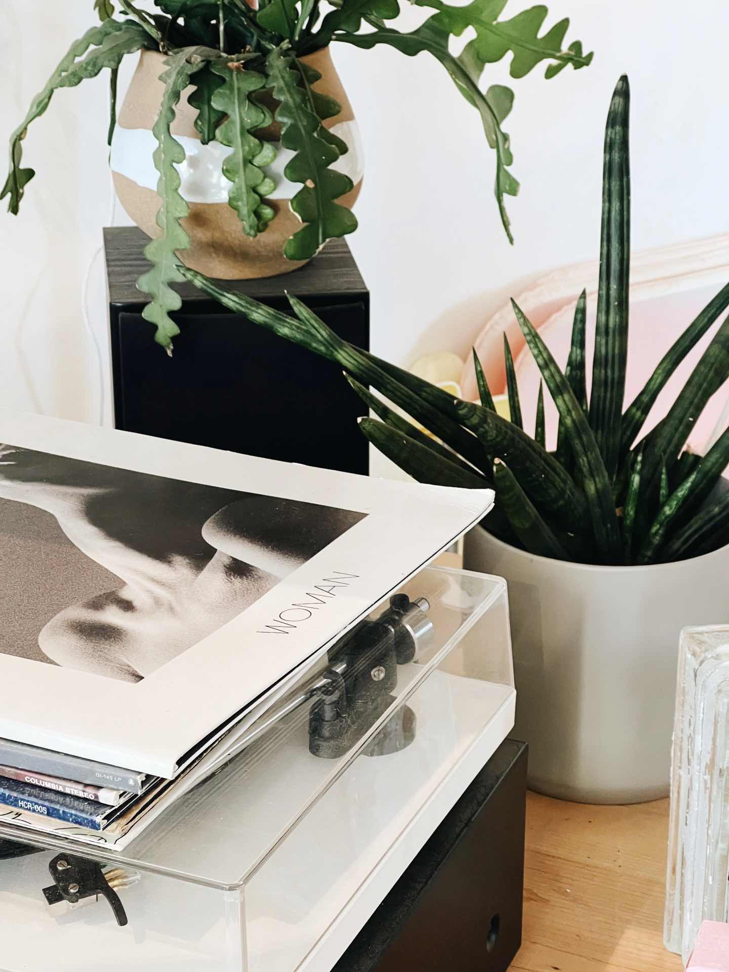 San Francisco | Ideal Lifestyle at Florist+Cafe