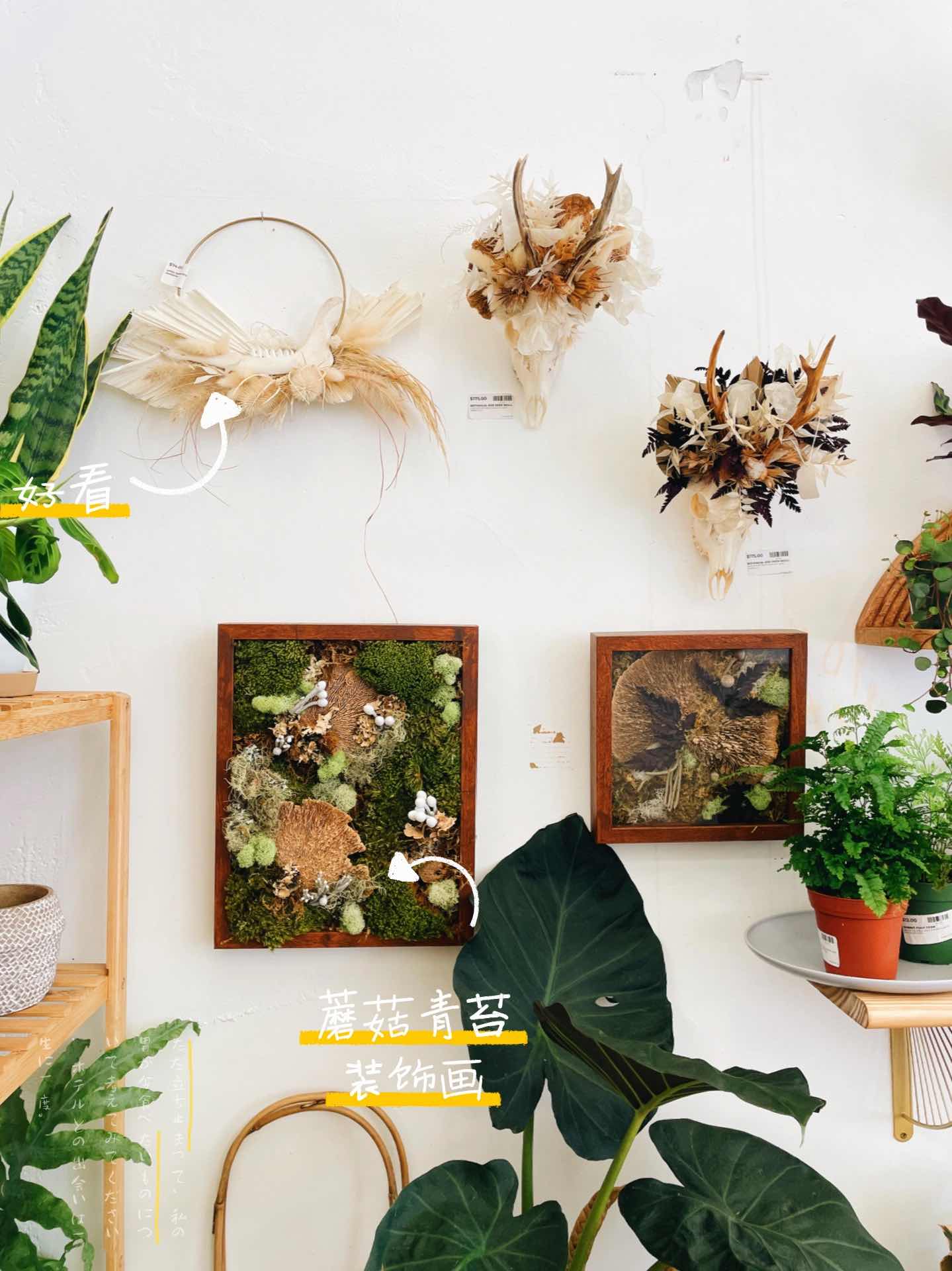 San Francisco | A Local Creative Community Full of Surprises