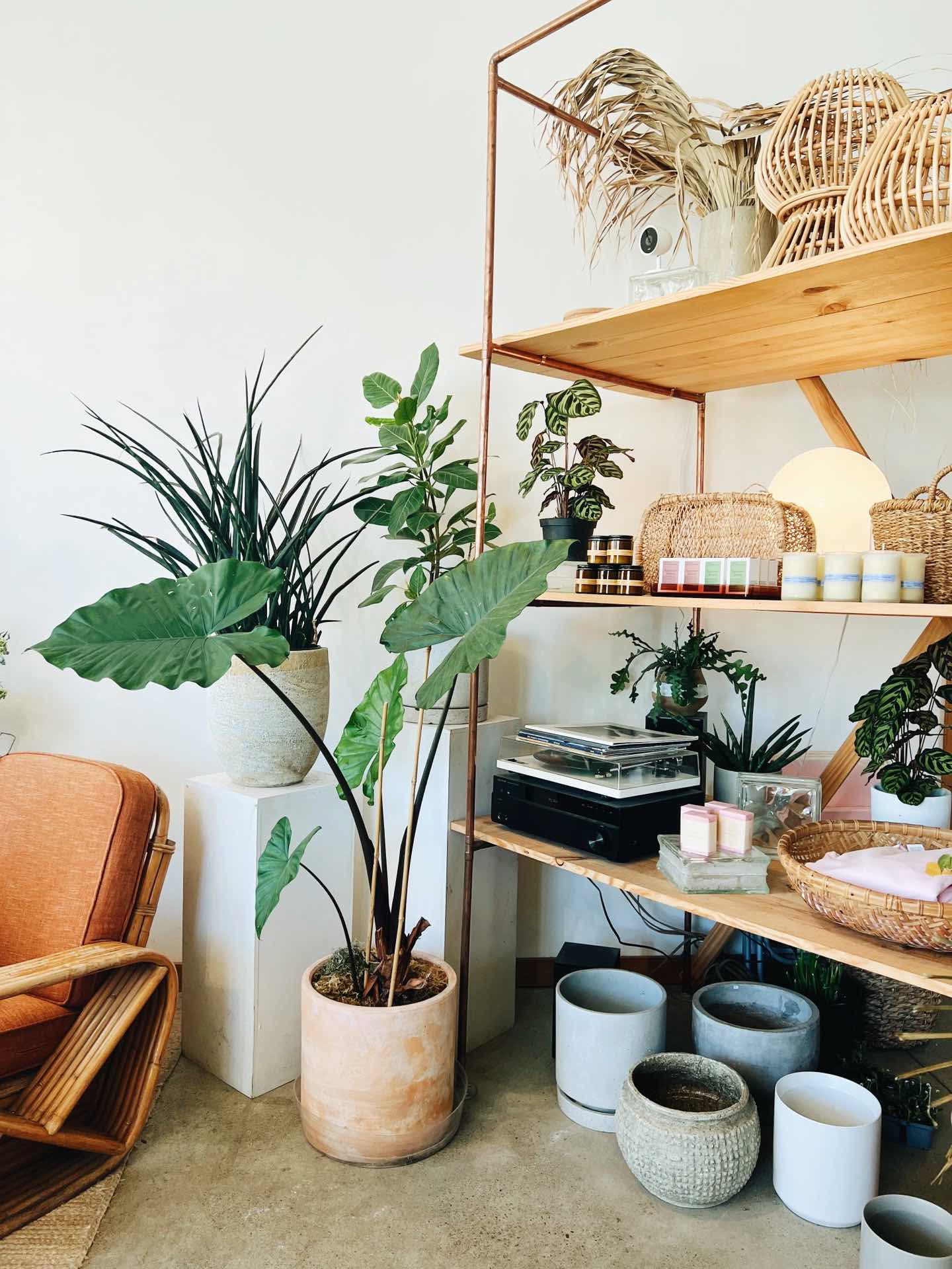 San Francisco | Ideal Lifestyle at Florist+Cafe