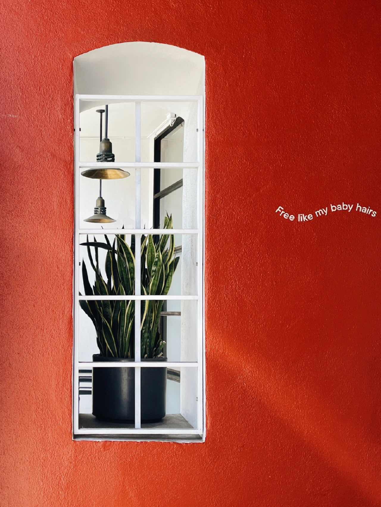 San Francisco | Check out interesting home decor stores on Valencia St!