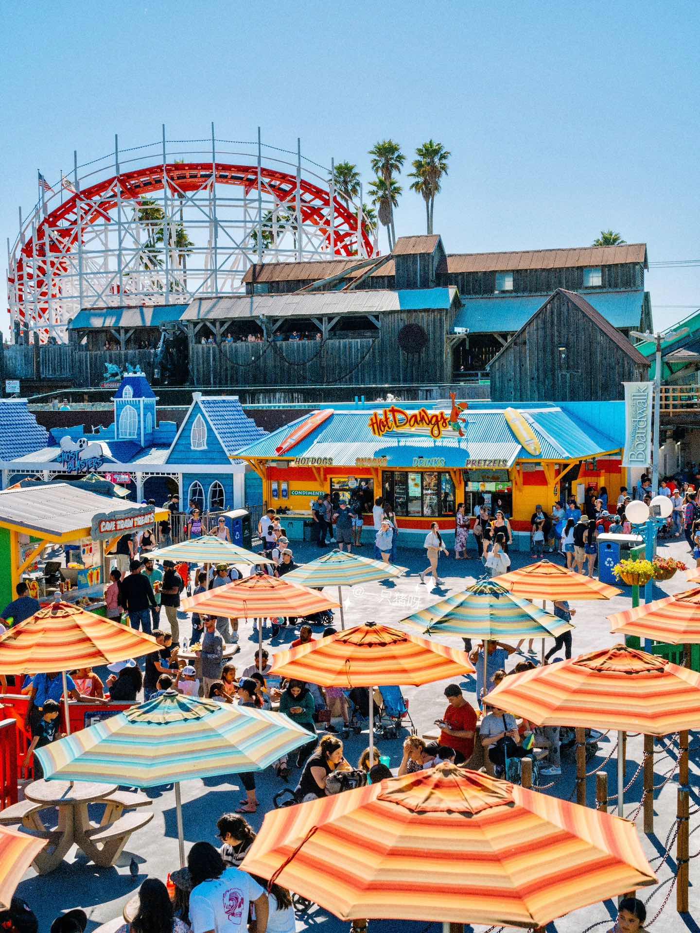 Macaron-colored Santa Cruz🎠 beachside amusement park in Cali