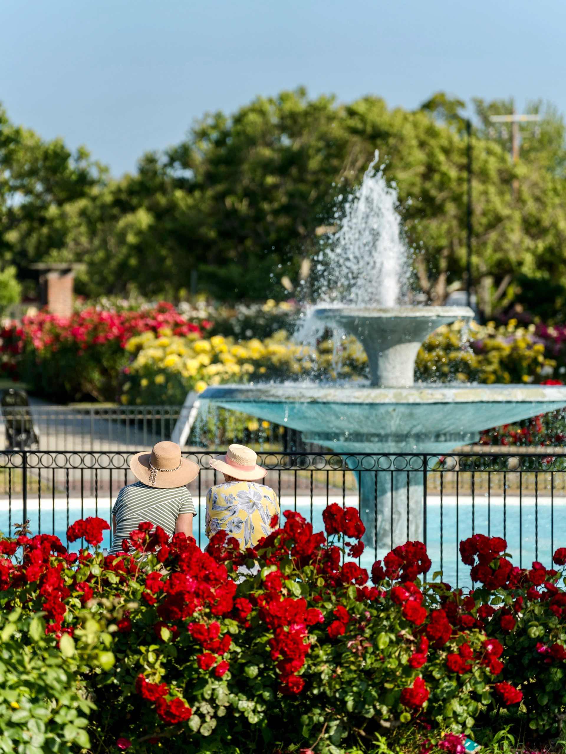 San Jose Rose Garden: A Midsummer Sea of Roses in the Bay Area