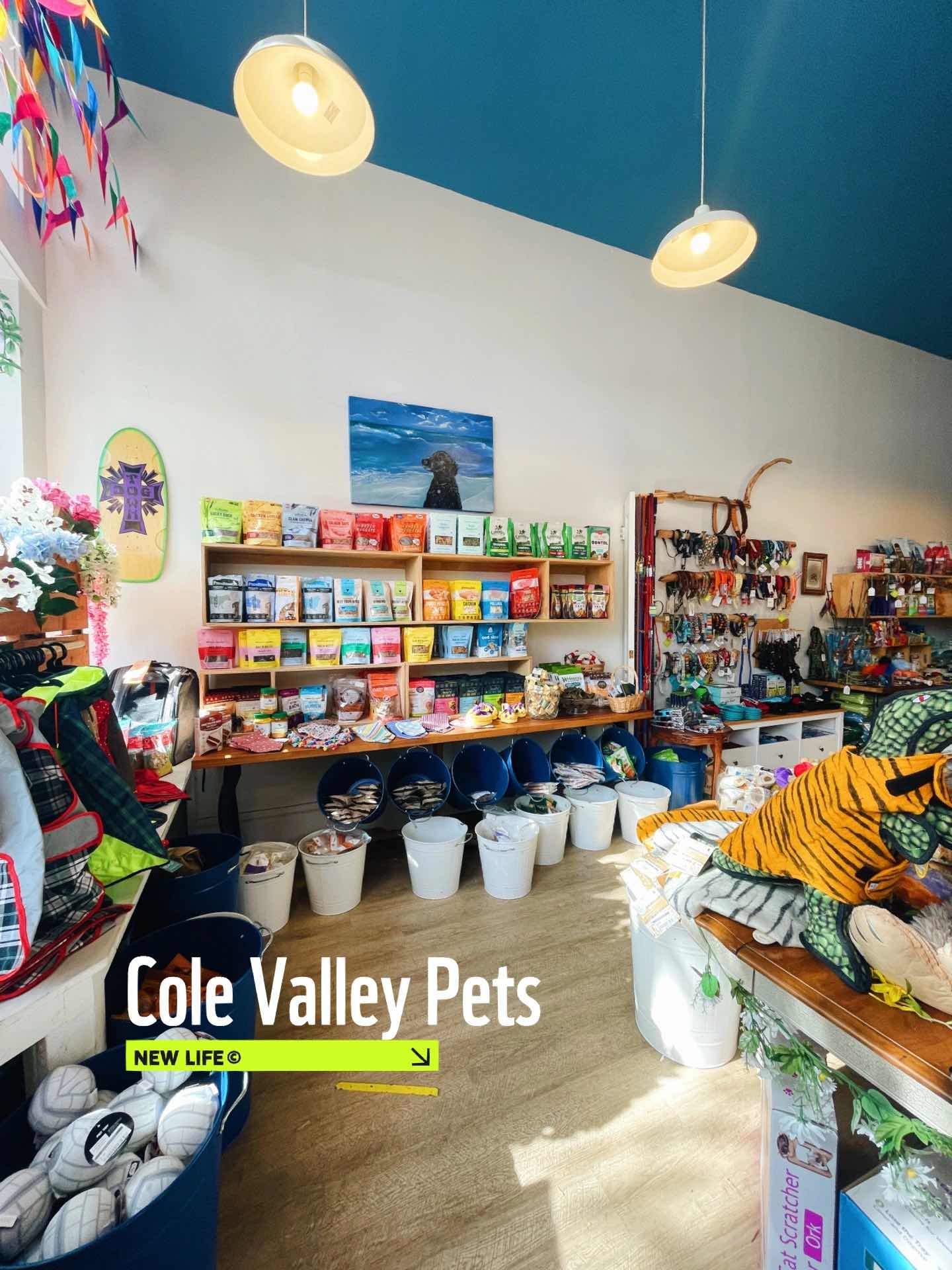 San Francisco | Check out this Walking Map of Cole Valley vol.1
