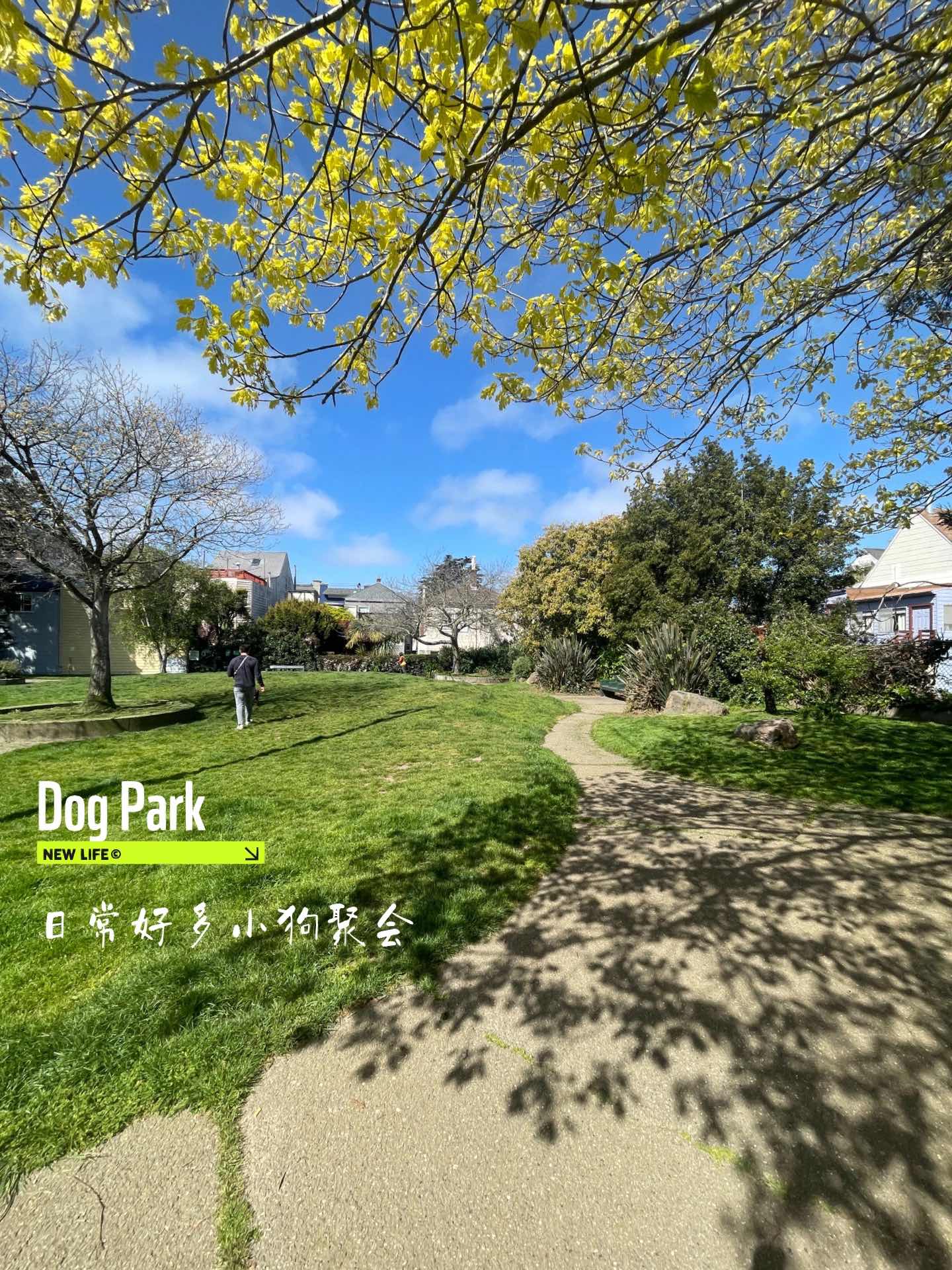 San Francisco | Check out this Walking Map of Cole Valley vol.1