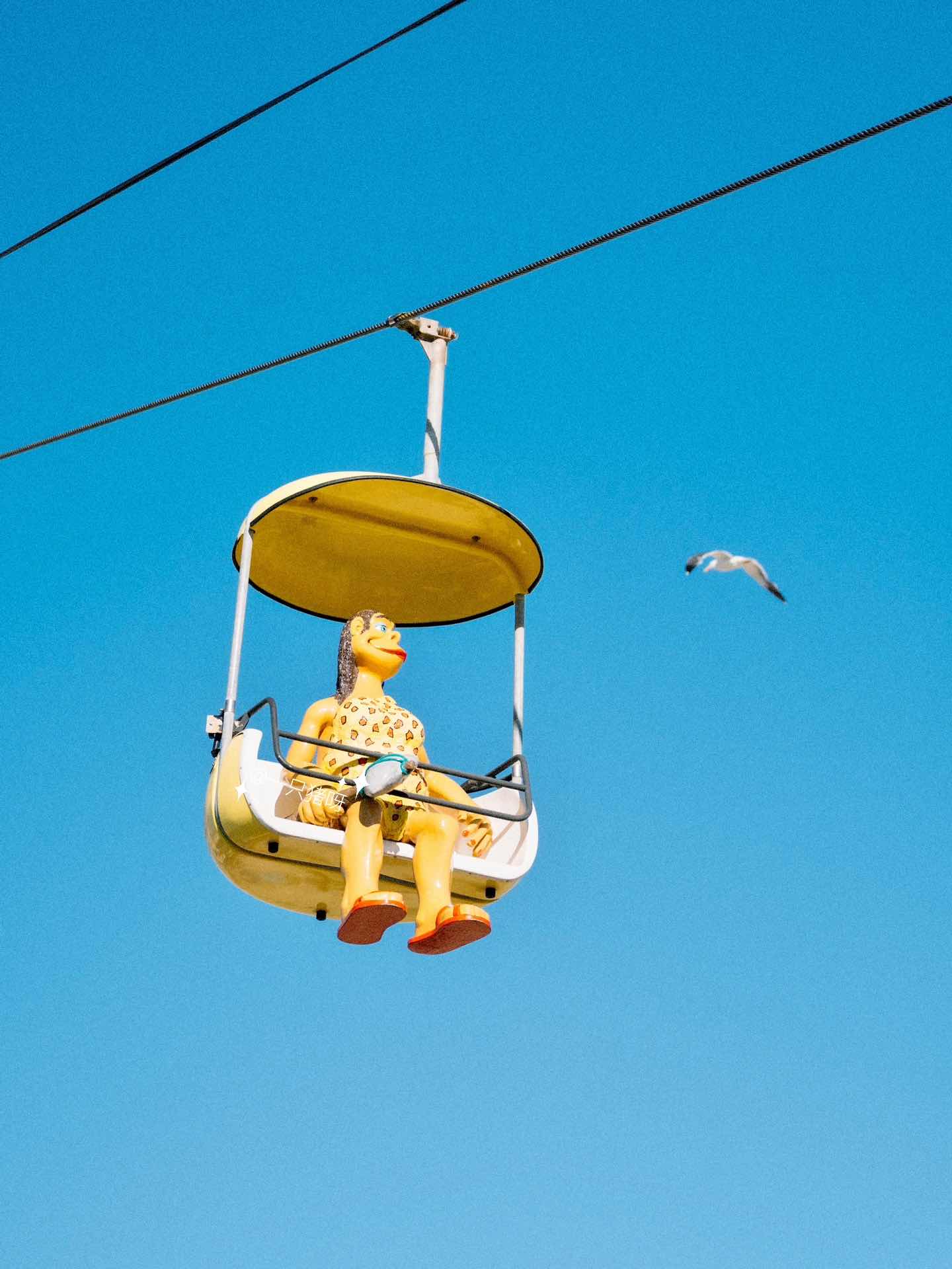 Macaron-colored Santa Cruz🎠 beachside amusement park in Cali