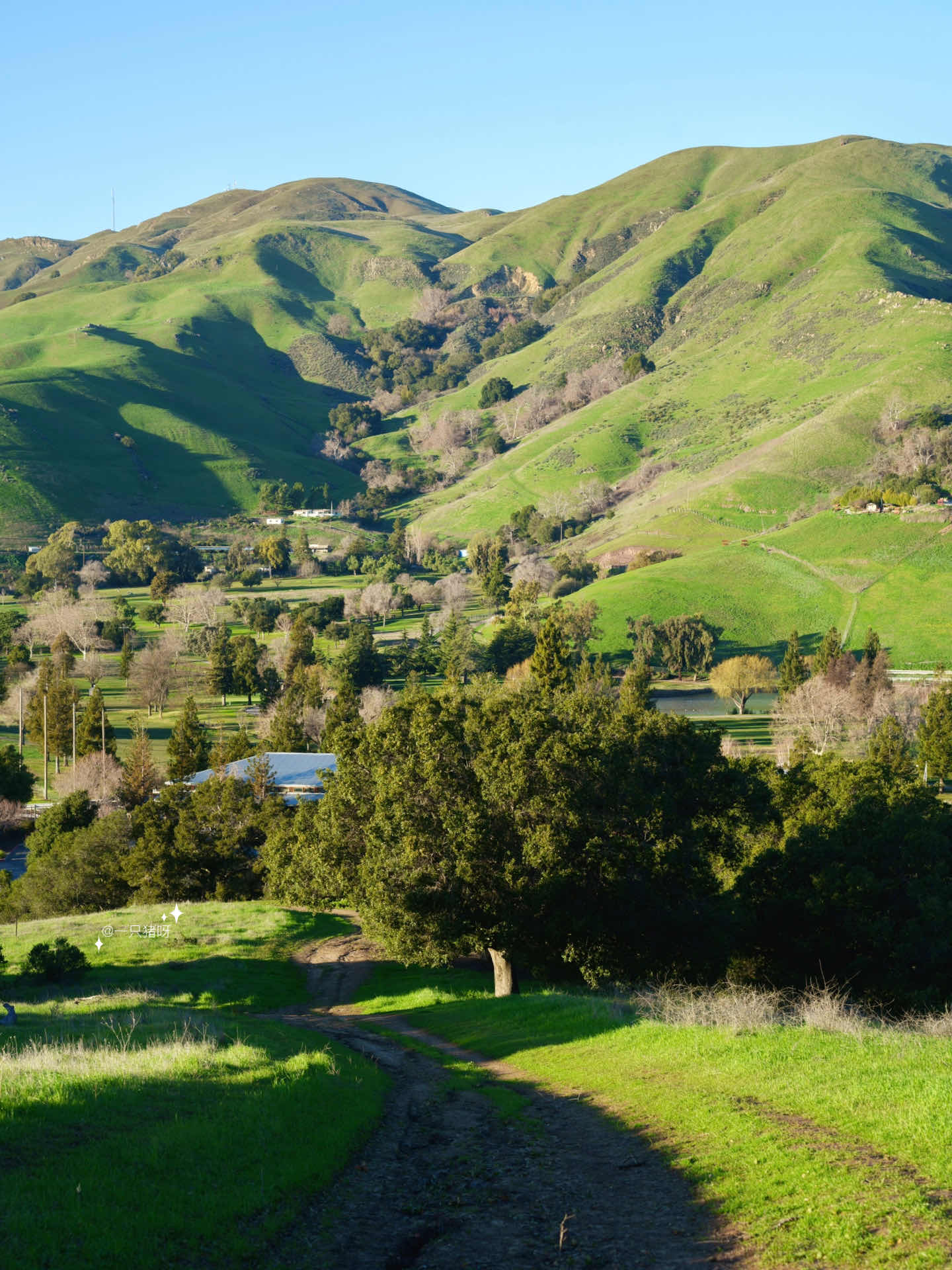 Bay Area Hiking: Discover a Mini Switzerland with Less Crowds