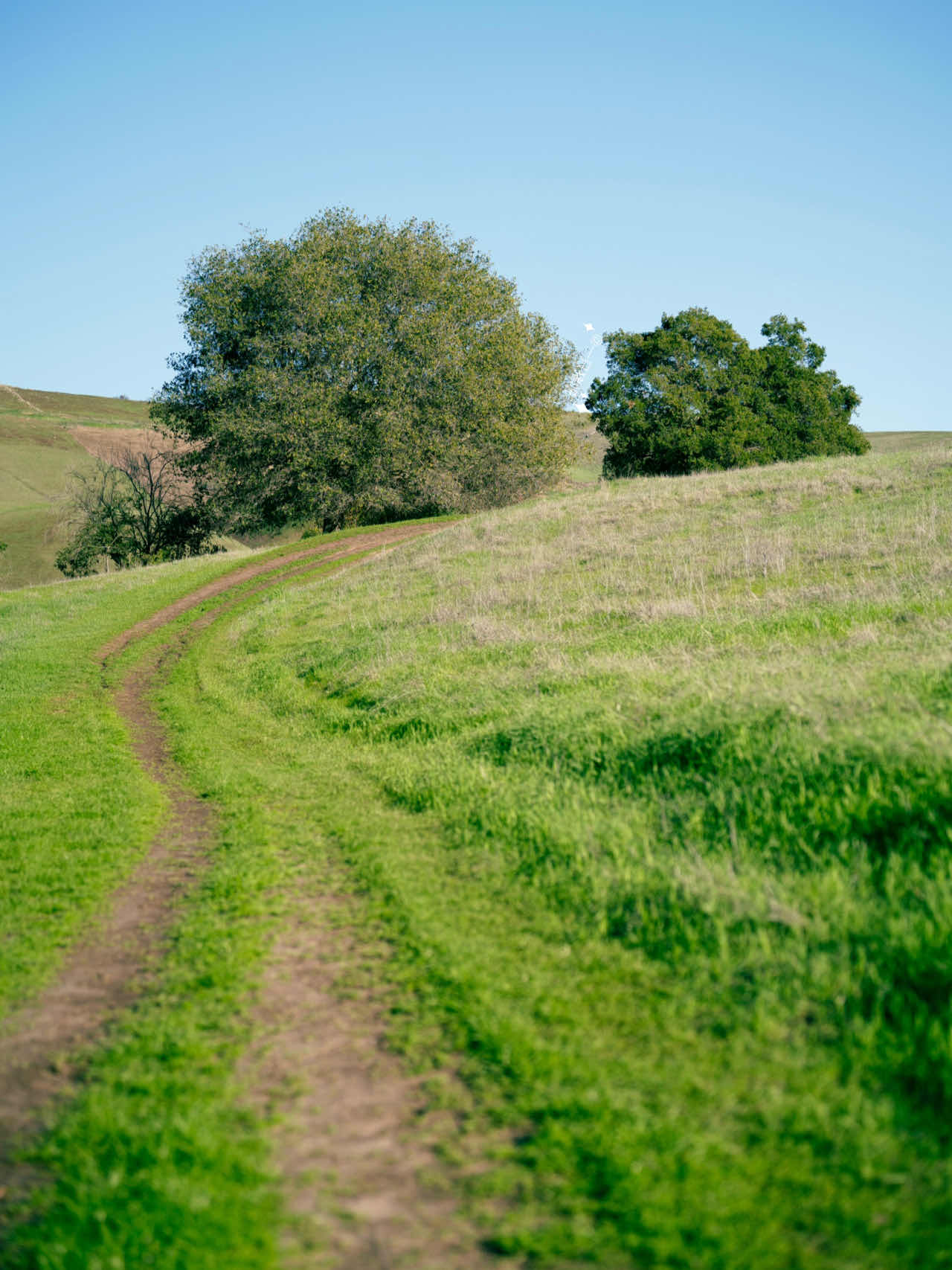 Bay Area Hiking: Discover a Mini Switzerland with Less Crowds